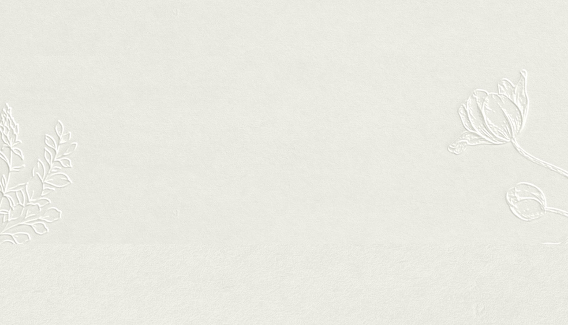 white wall paint with black line