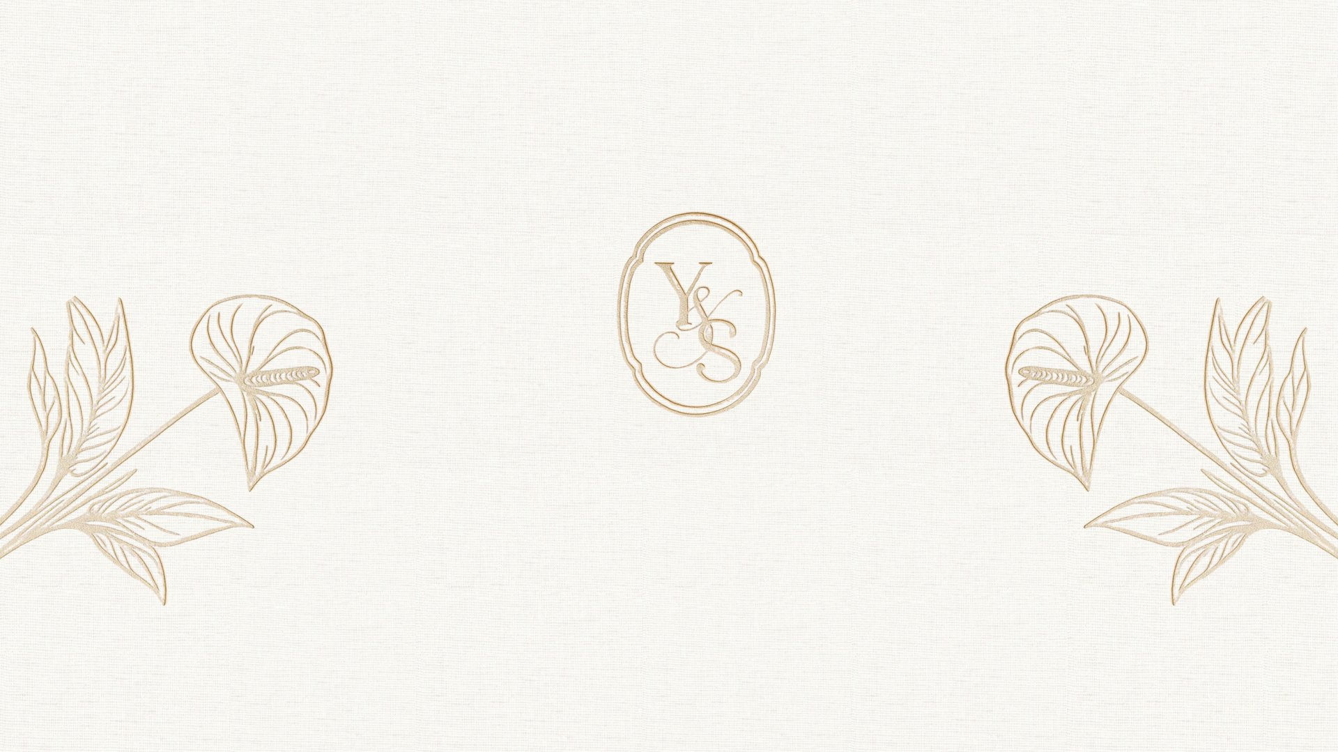 white wall paint with black line