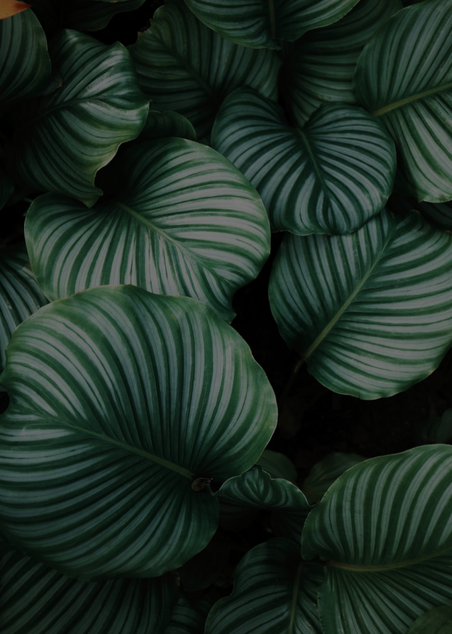 mountain range under blue sky