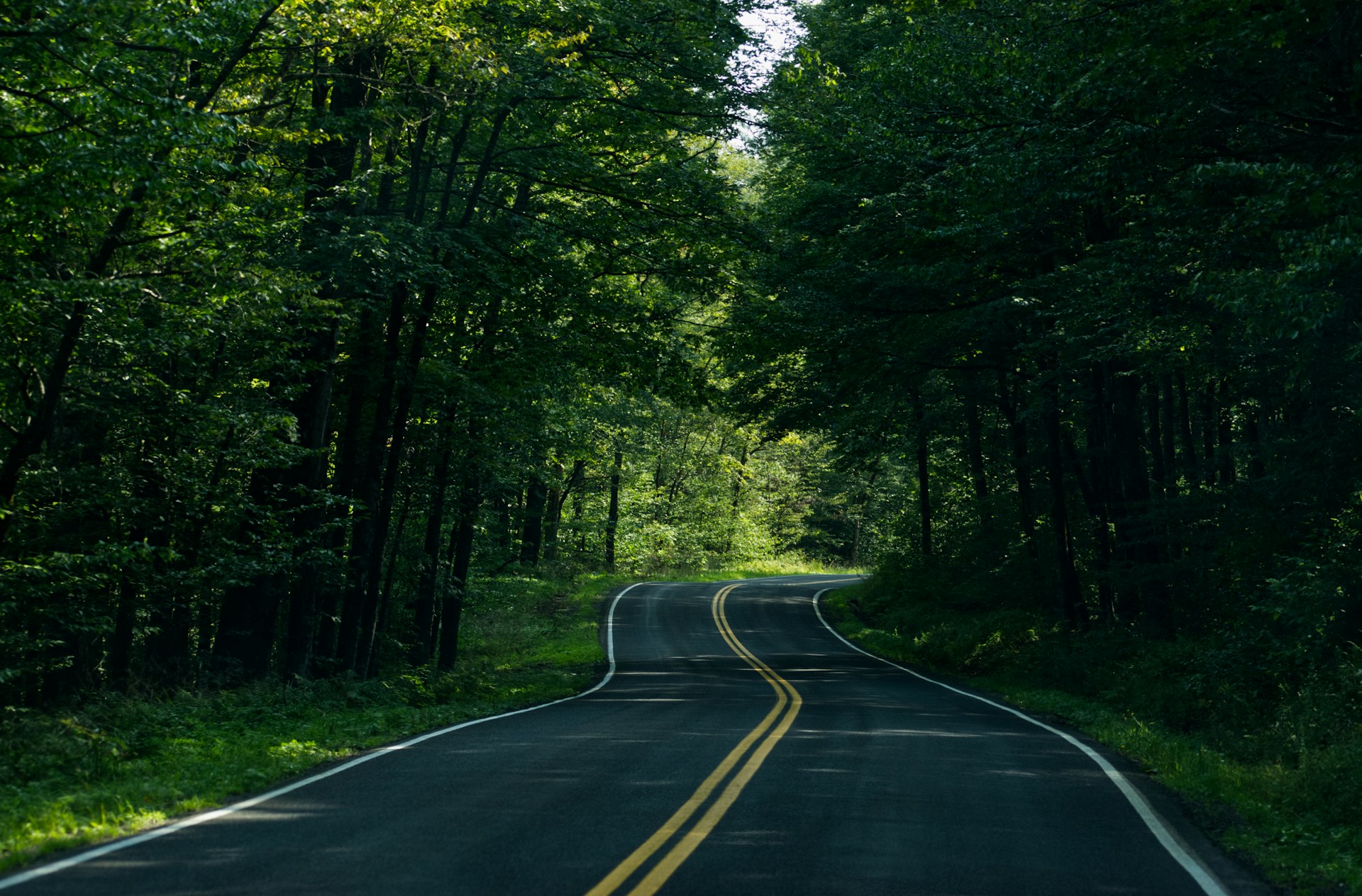 pink dining table with four chairs inside room