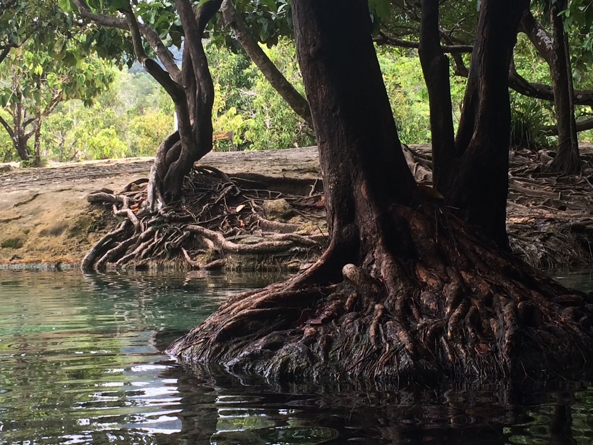 gray computer monitor