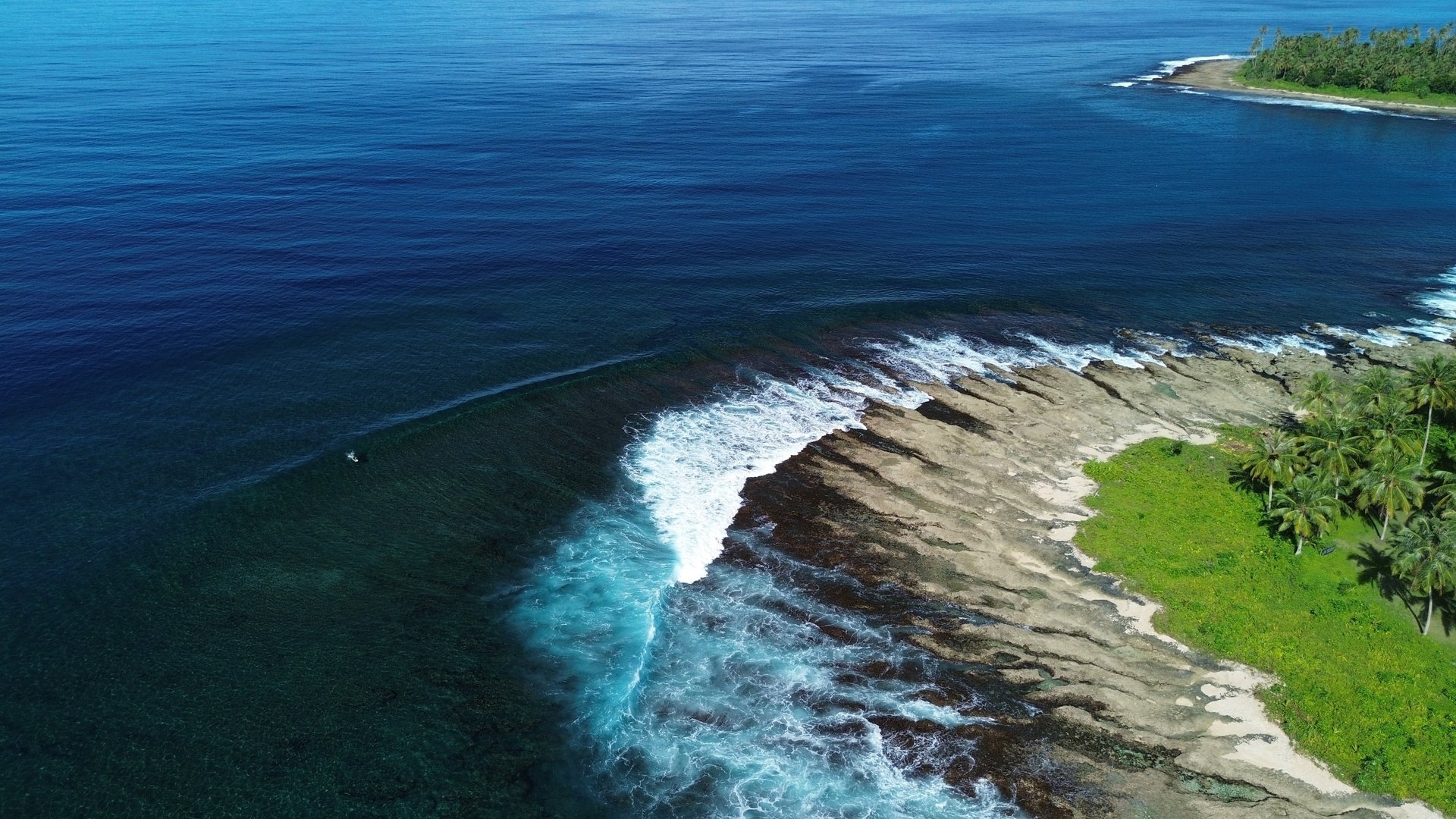 black and brown leather padded tub sofa
