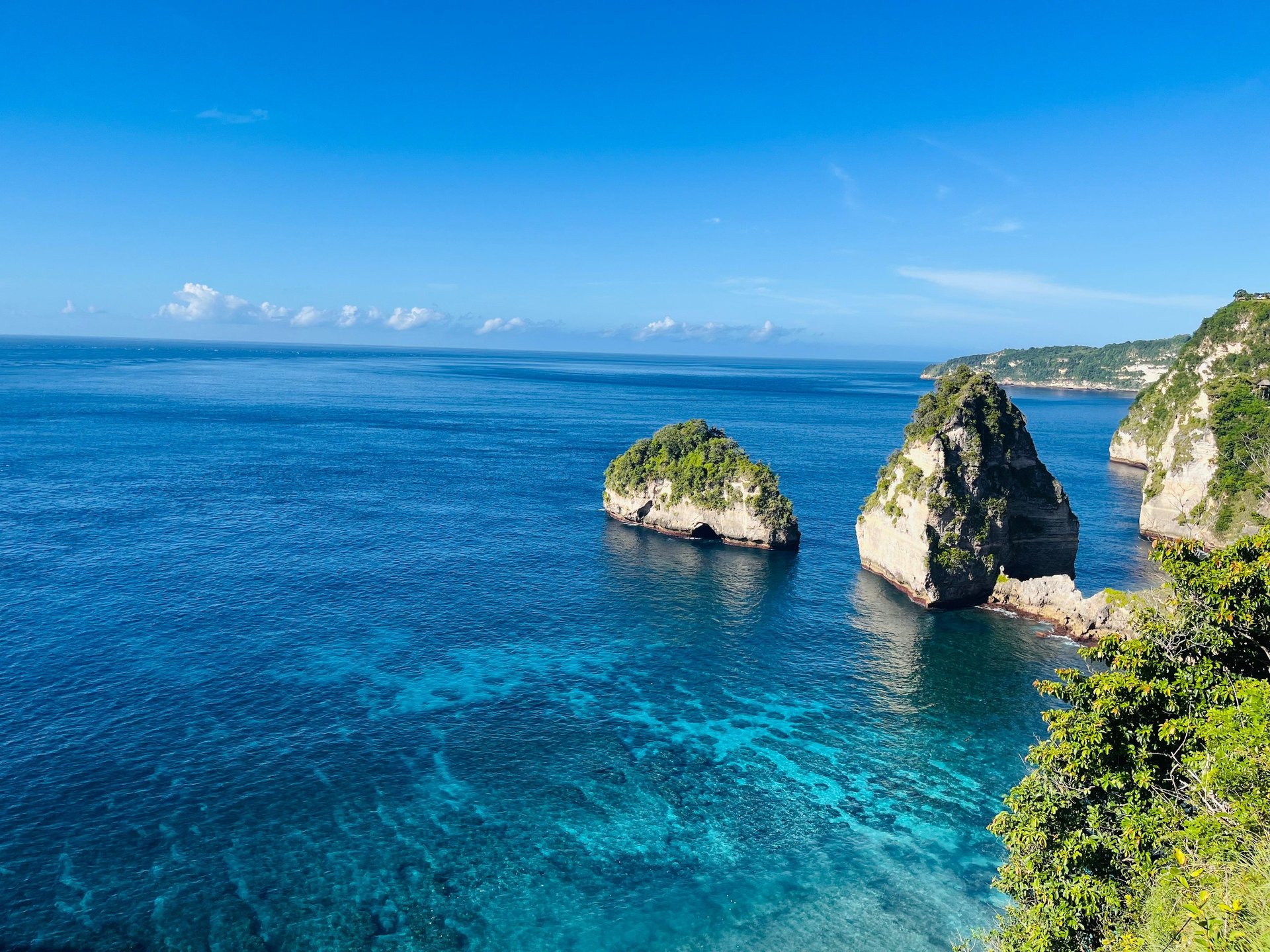 yellow sunflower field during daytime