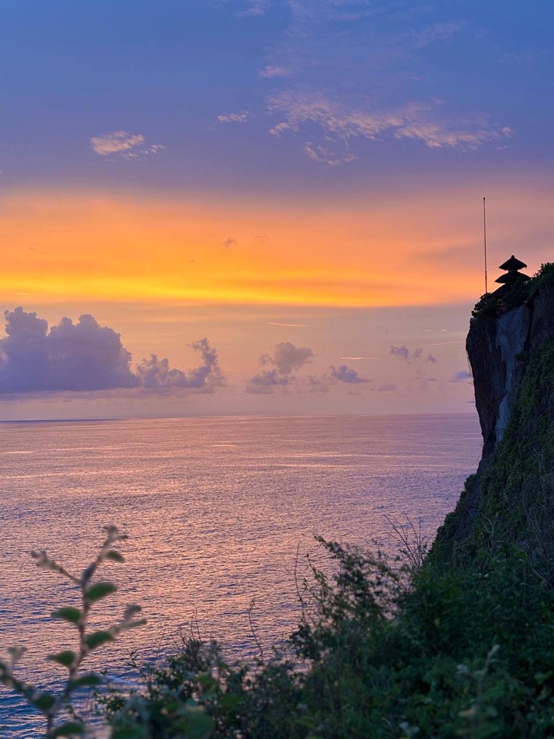 yellow sunflower field during daytime