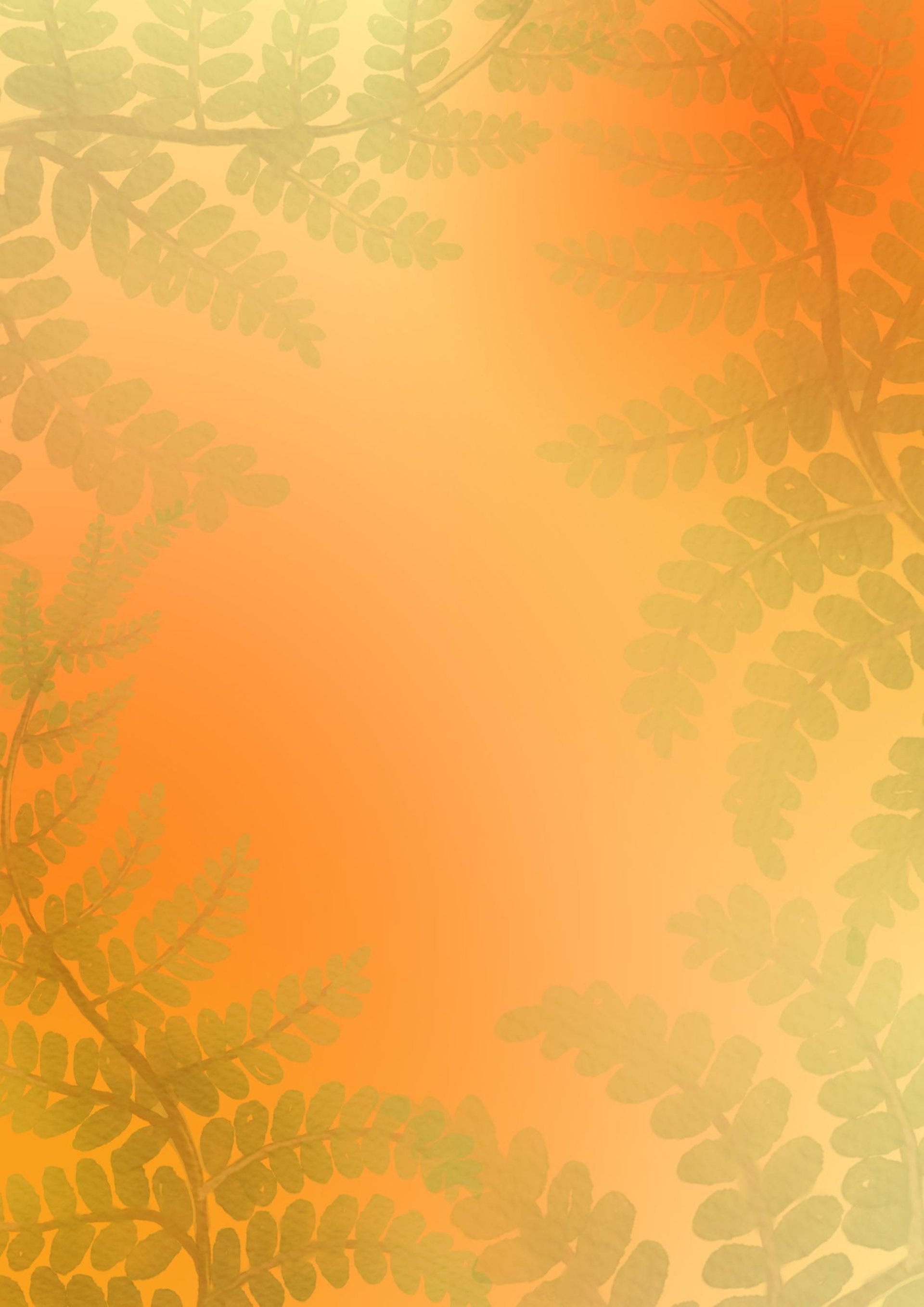 macro shot photography of orange plants