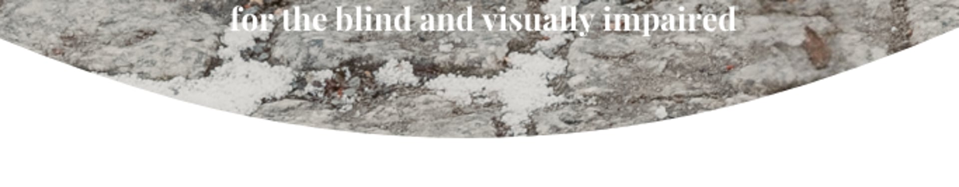 cane service for the blind and visually impaired