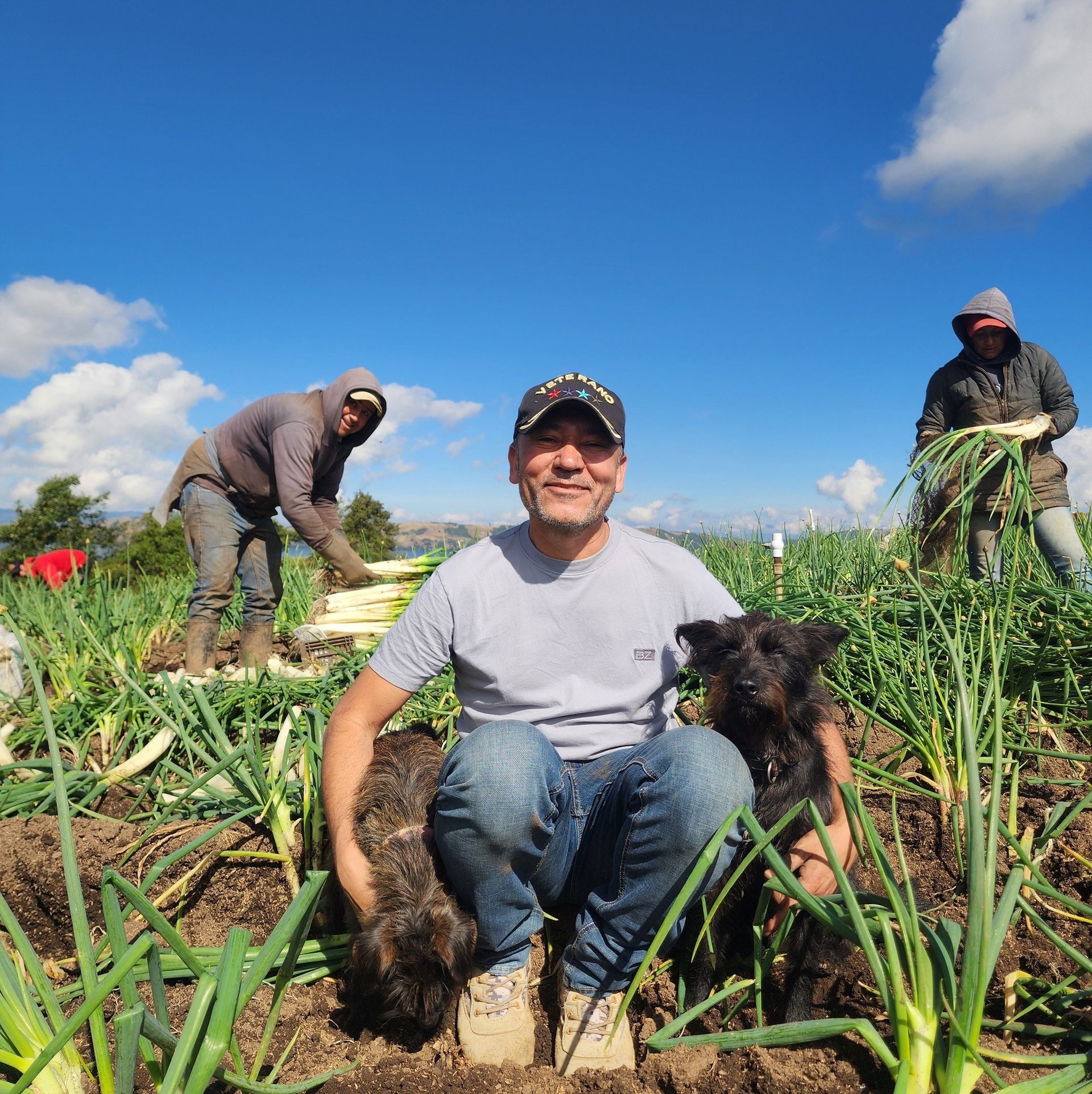 black blue and yellow textile