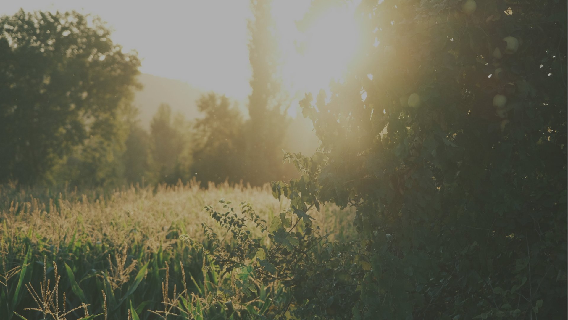 mountain range under blue sky