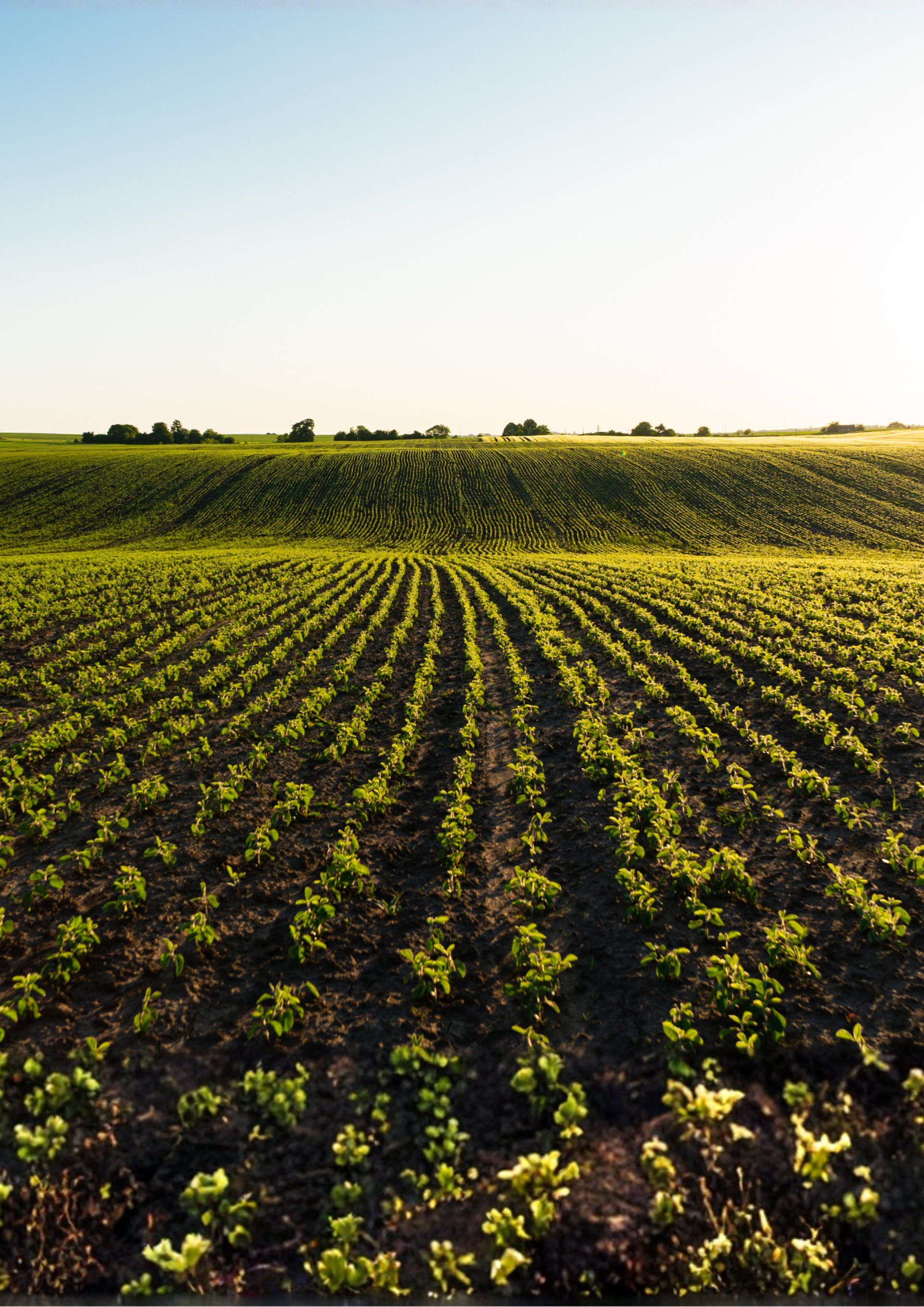 a close up of a black and brown abstract painting