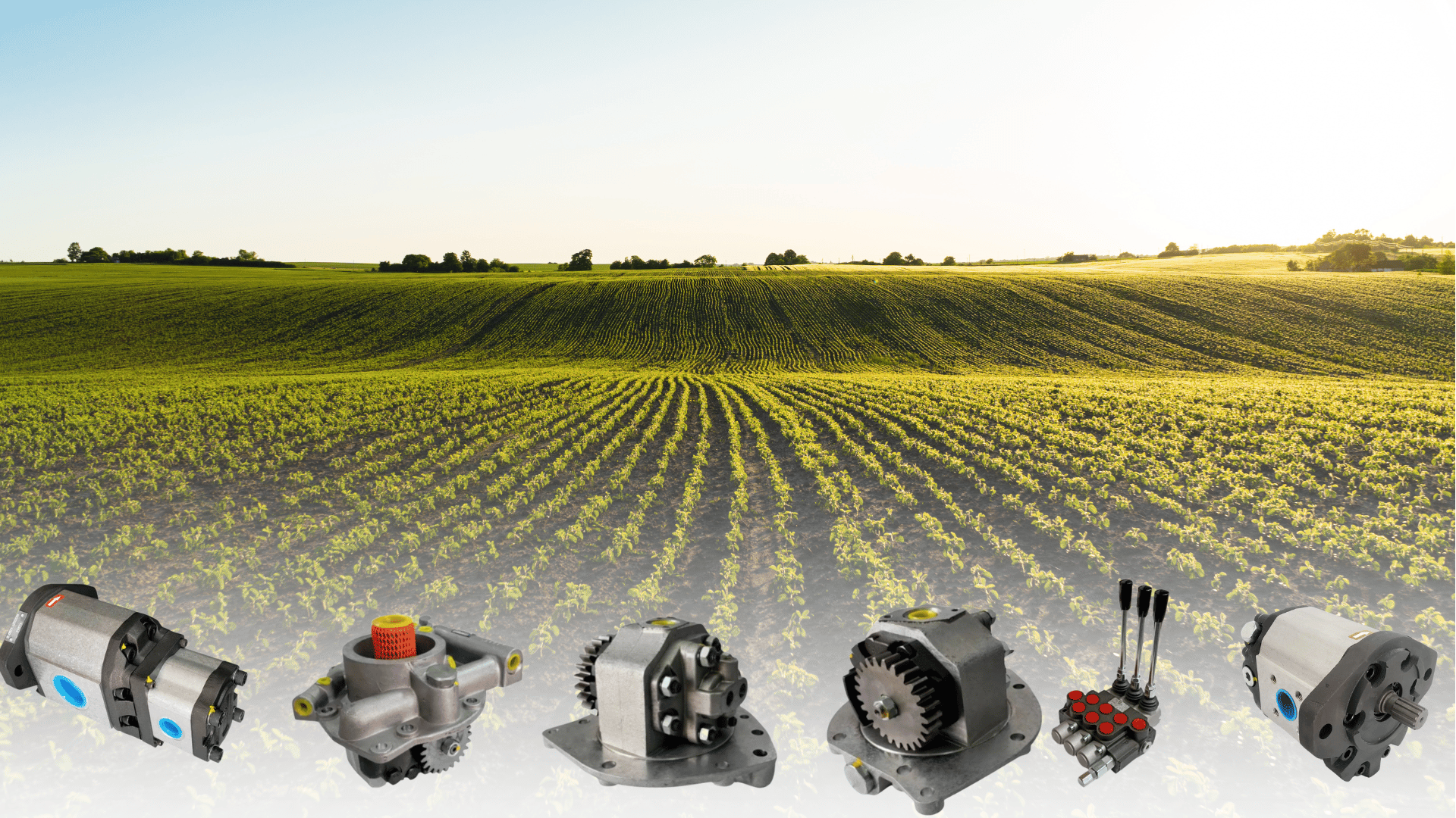 a man working on a piece of wood