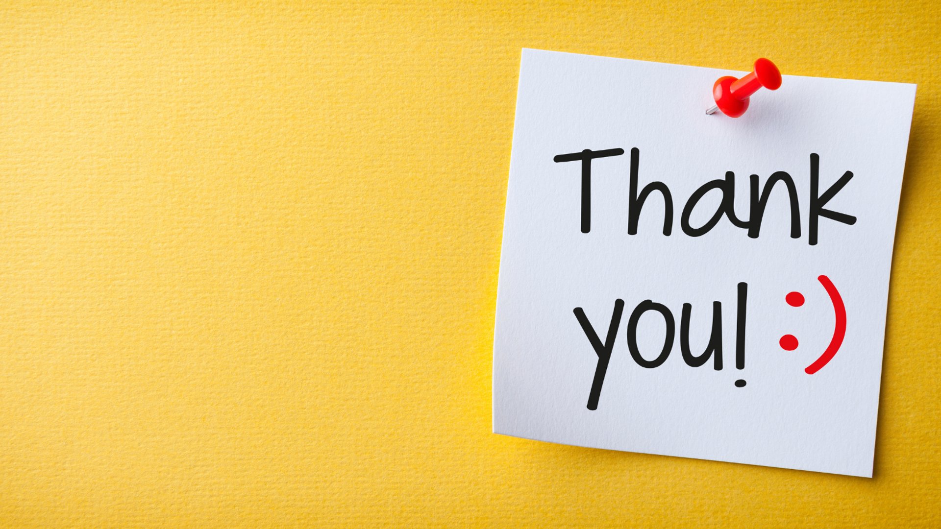 domaindear_contact_us