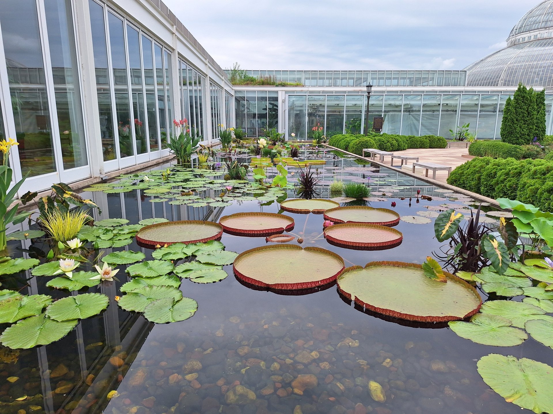 aerial shot of concrete structures near body of water