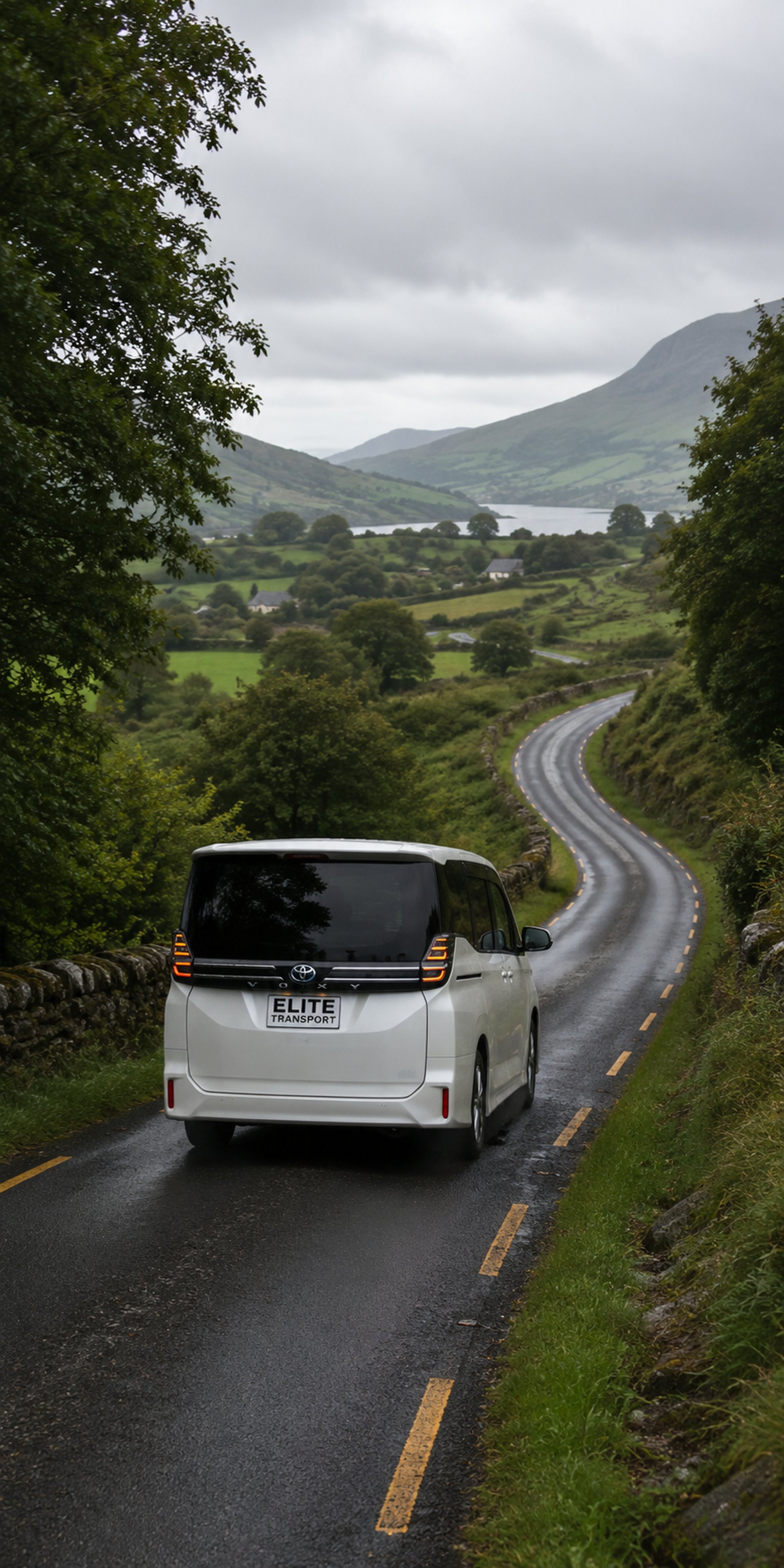 gray concrete road between green trees during daytime