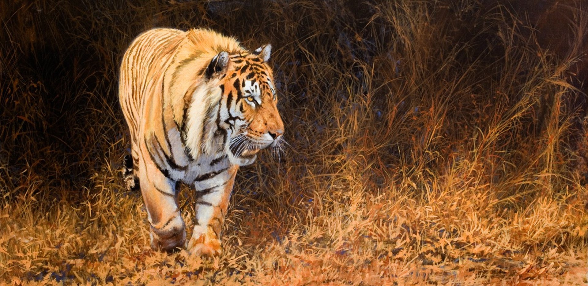An oil painting of a Bengal Tiger stalking from the bushes, moody and high key