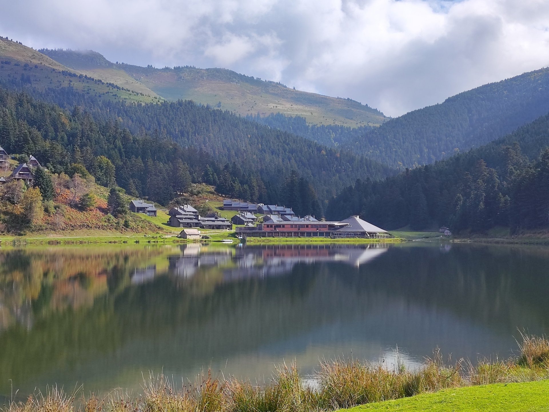 black and white bed linen