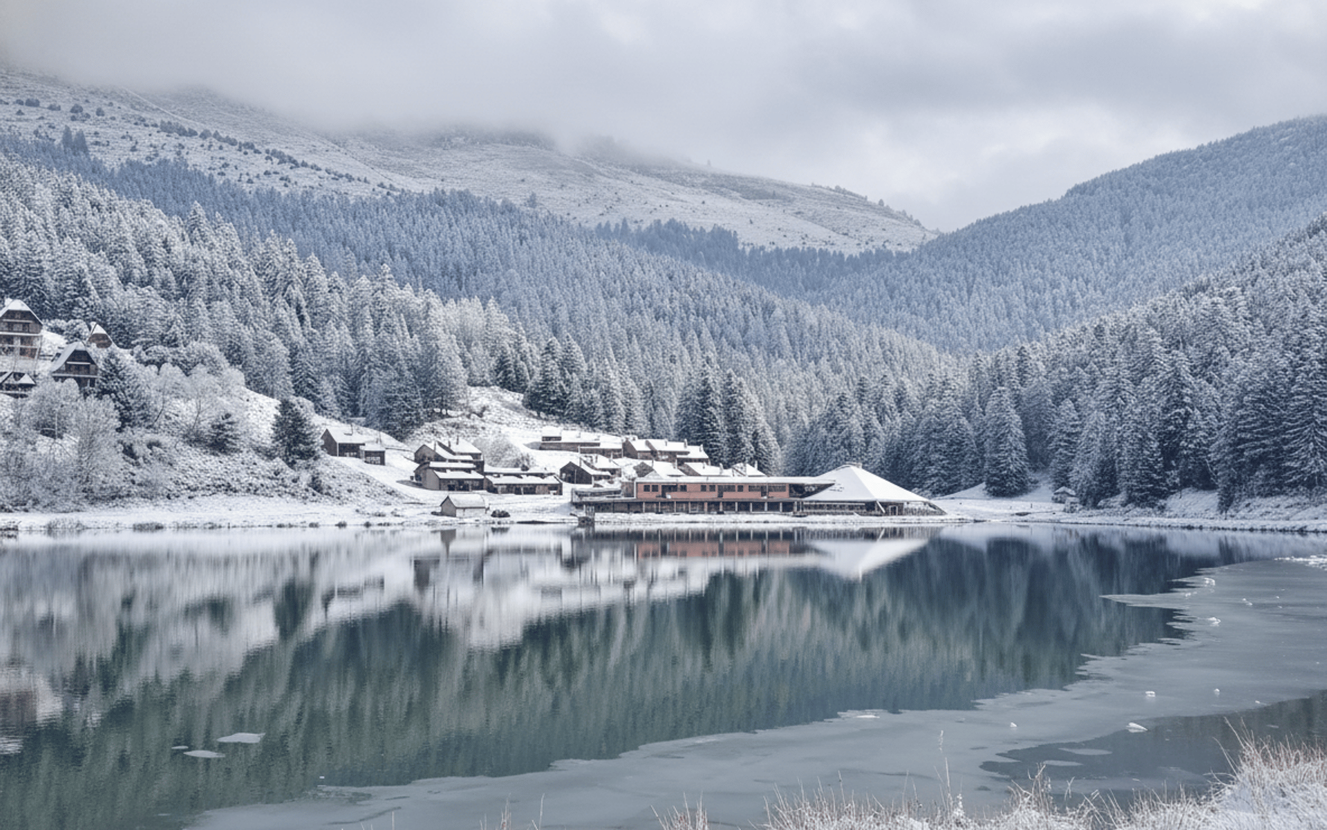 black and white bed linen