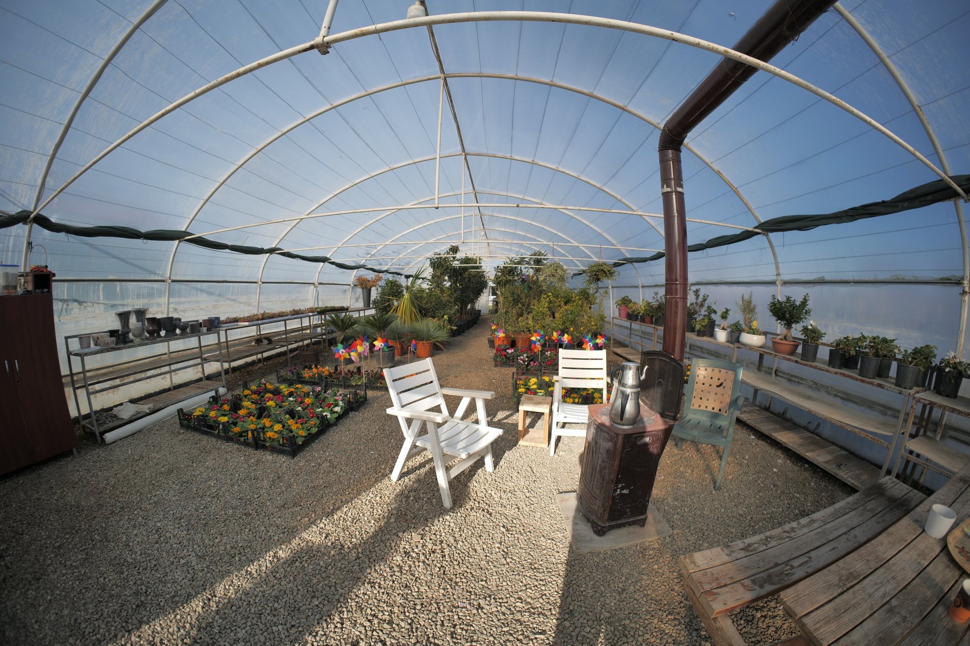 an abstract photo of a curved building with a blue sky in the background
