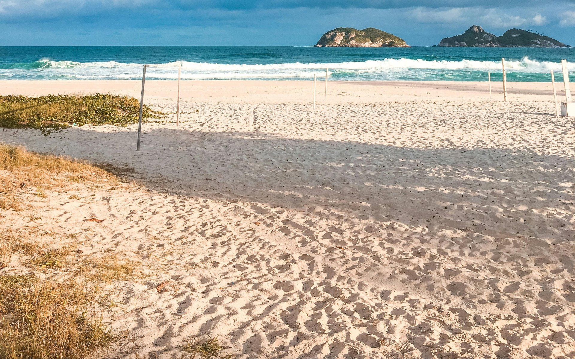 gray computer monitor