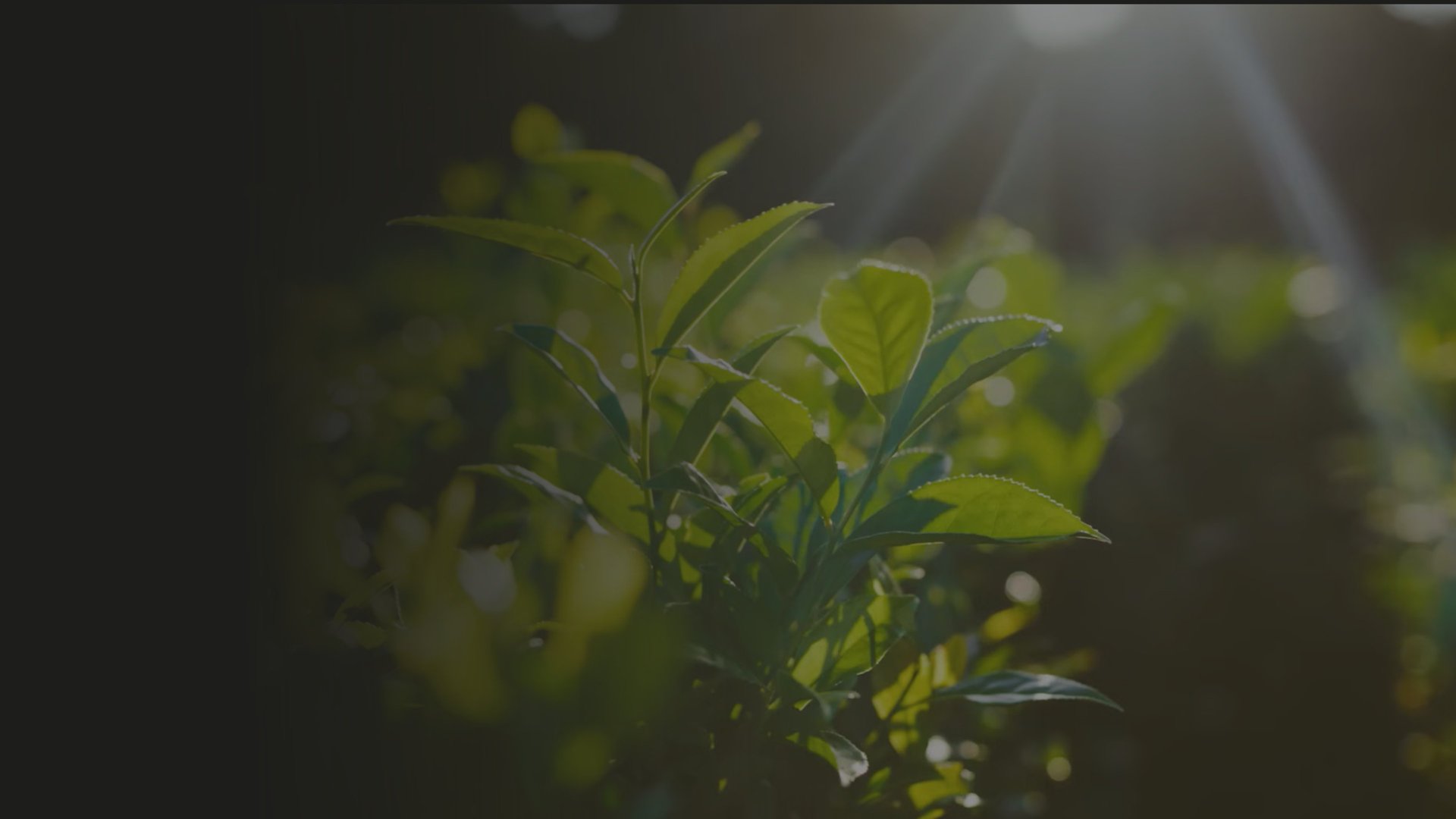 white and red wooden house miniature on brown table