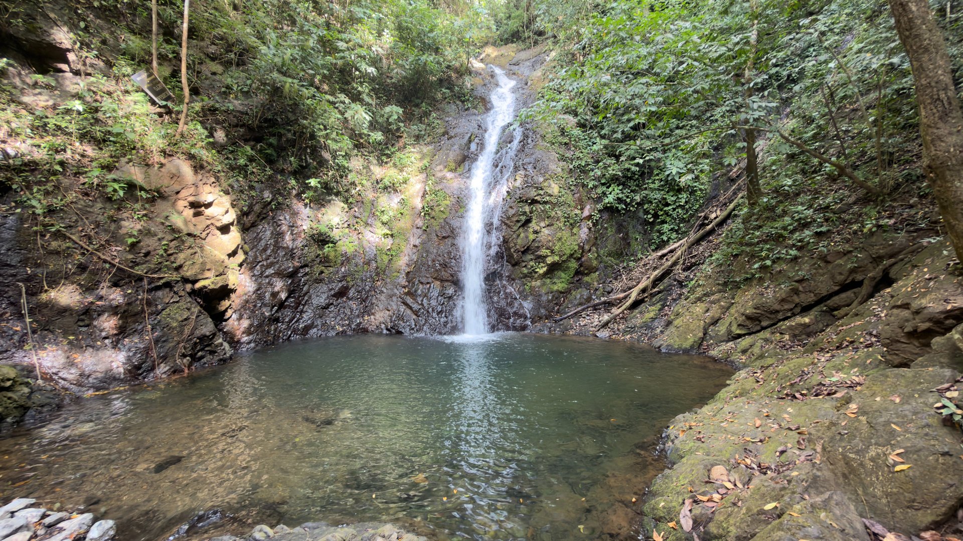 black and brown leather padded tub sofa