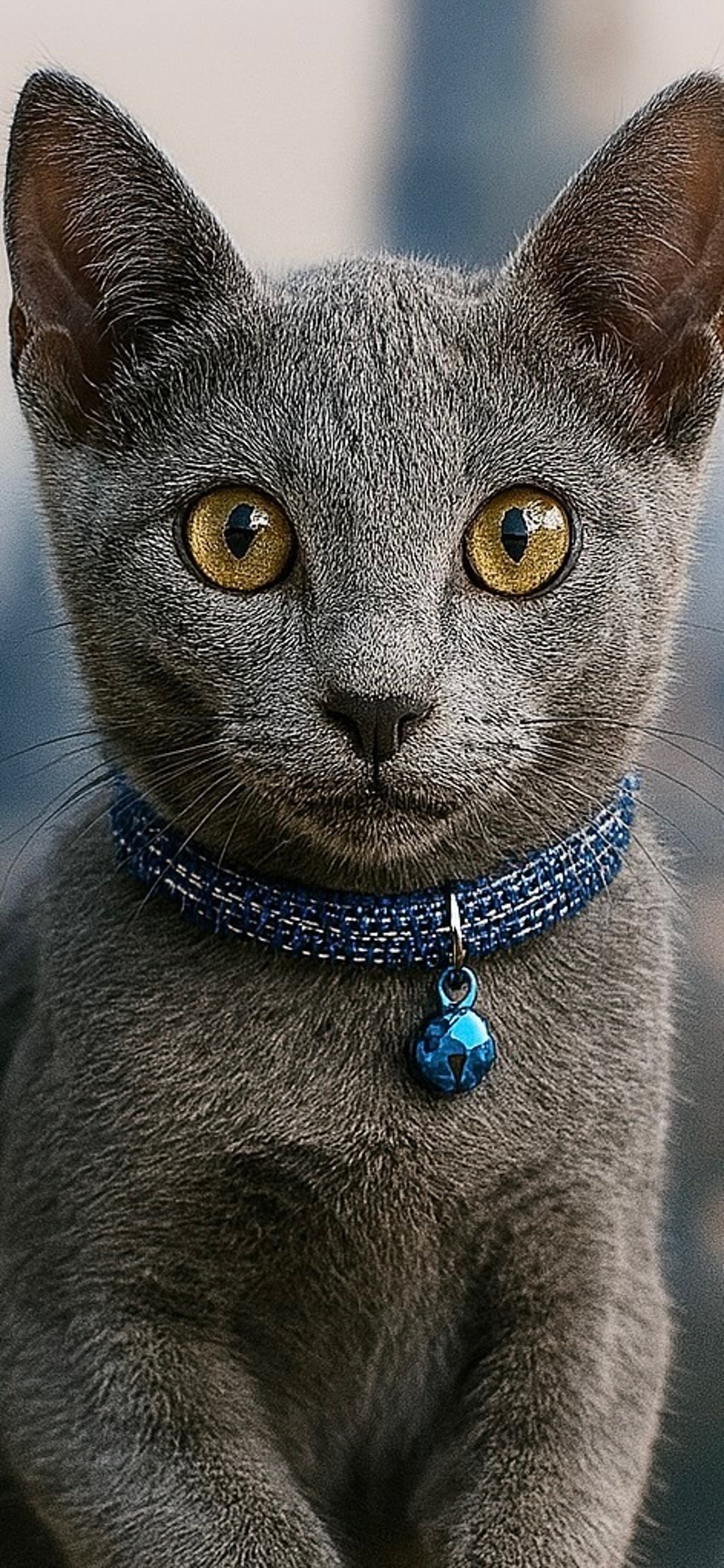 an abstract photo of a curved building with a blue sky in the background