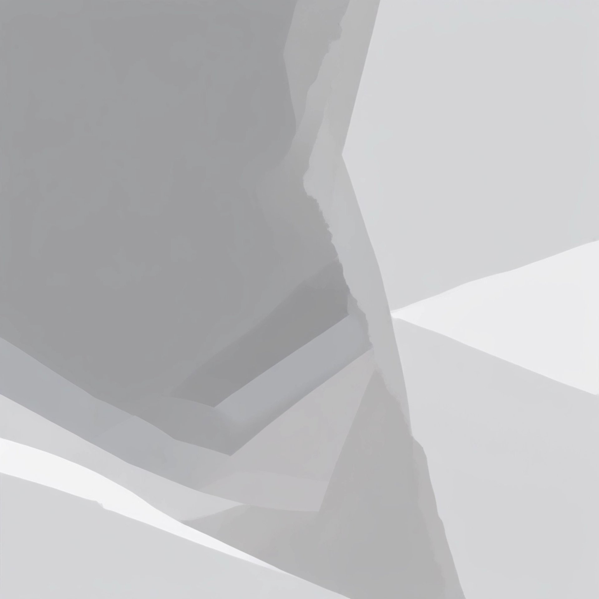 white and gray optical illusion