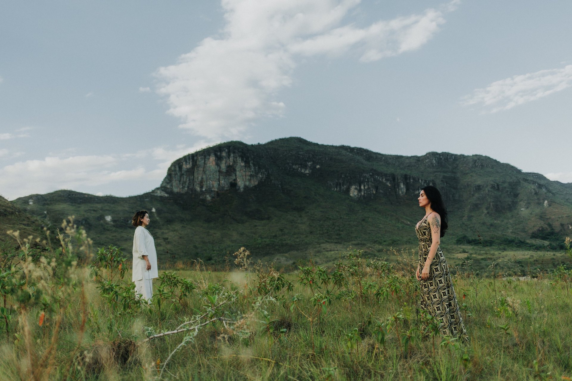 brown and black fur on white ceramic plate