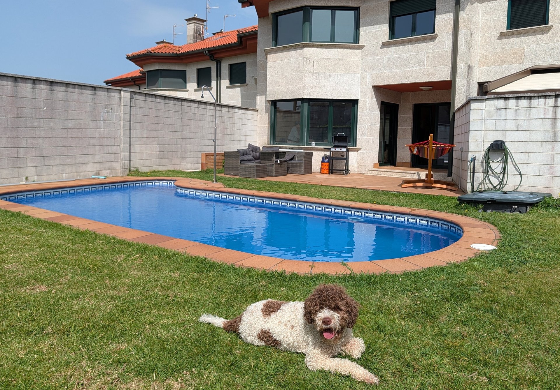 black and white bed linen