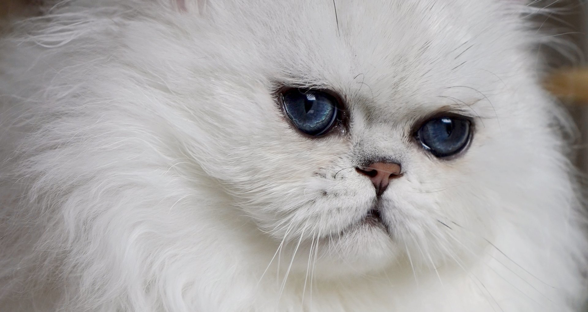 an abstract photo of a curved building with a blue sky in the background
