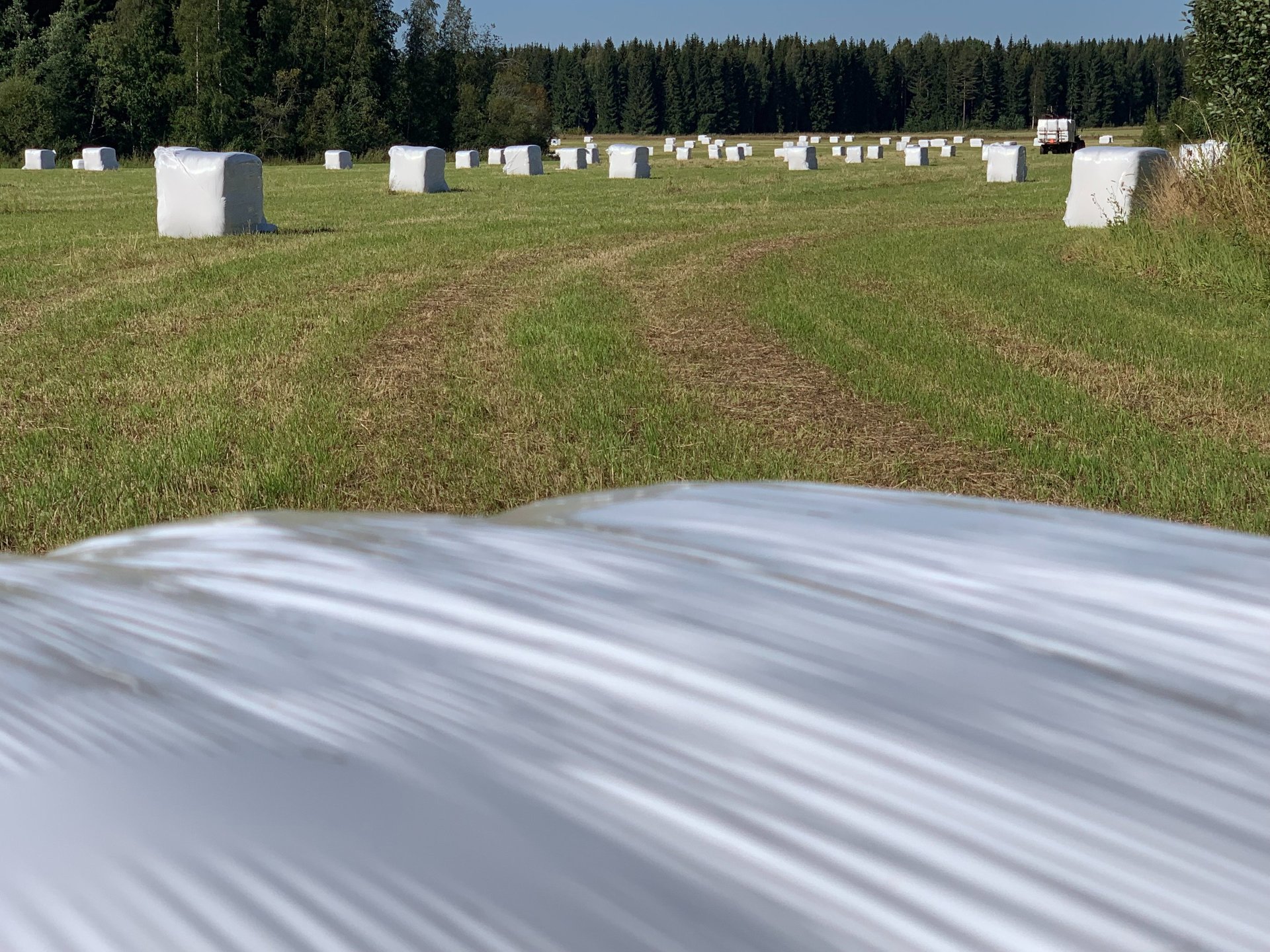black and white bed linen