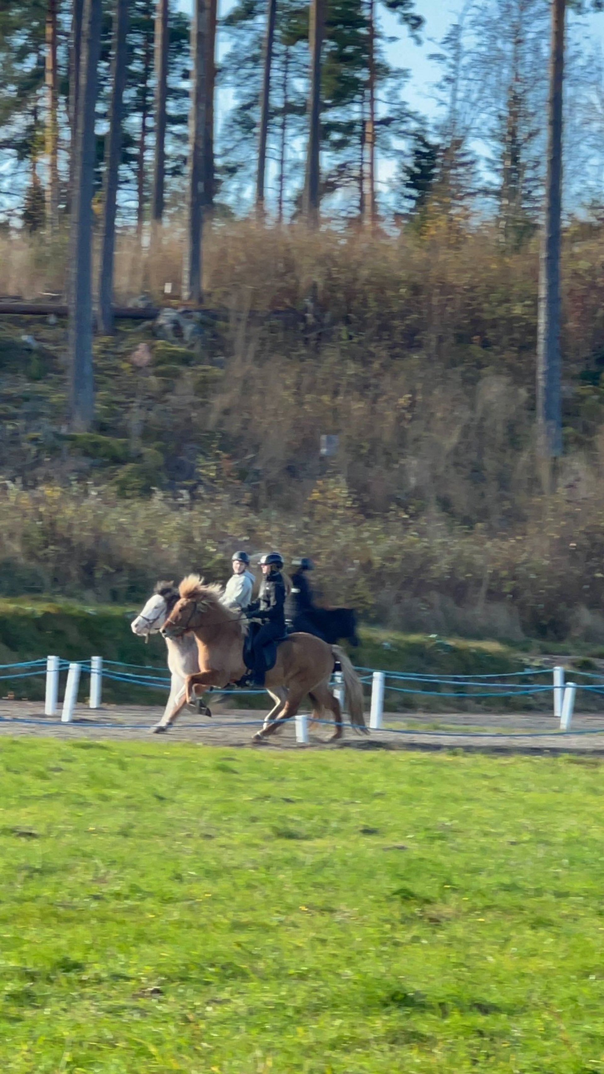 an abstract photo of a curved building with a blue sky in the background