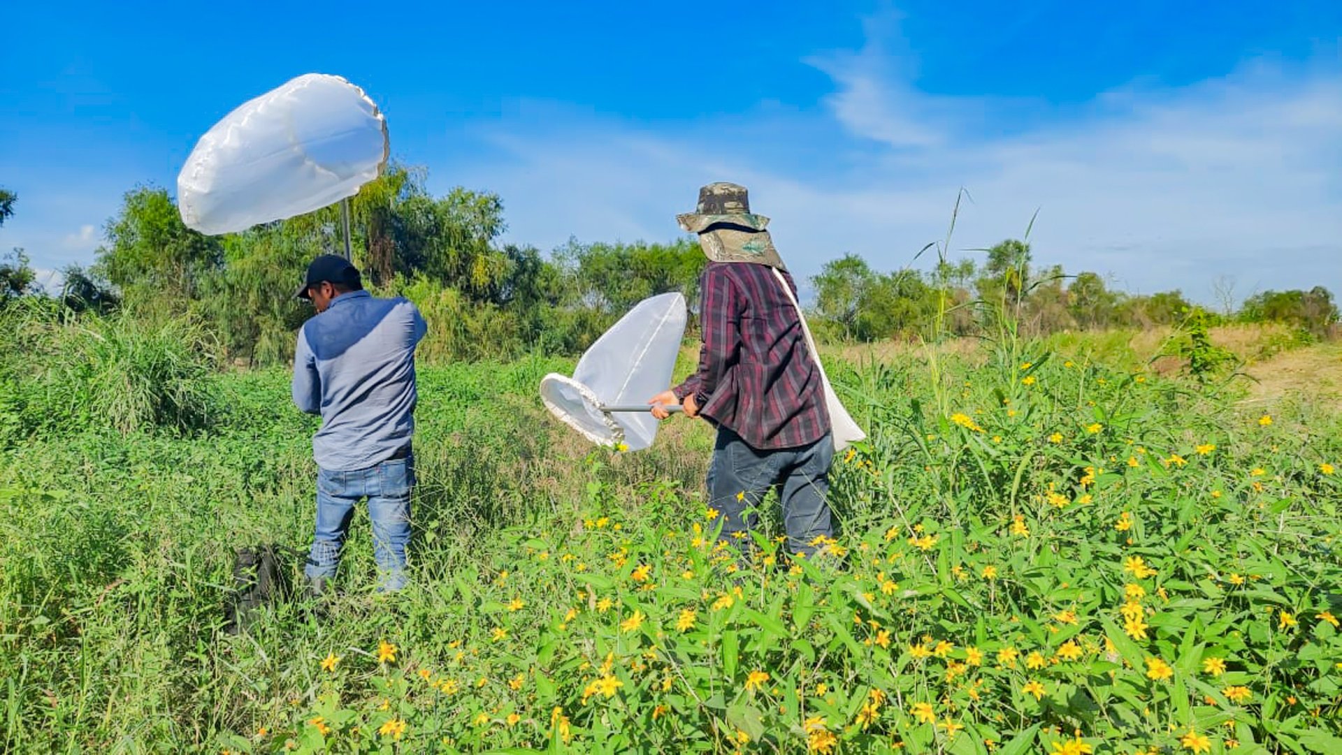 an abstract photo of a curved building with a blue sky in the background