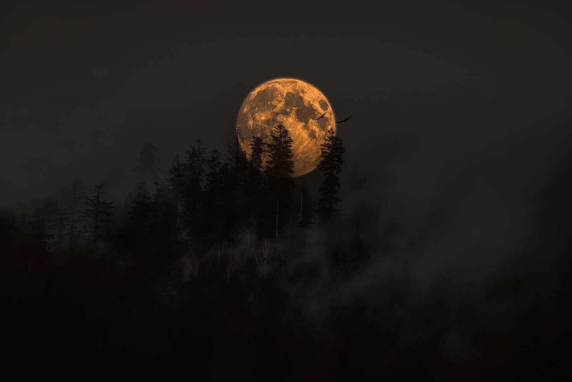 a close up of a black and brown abstract painting