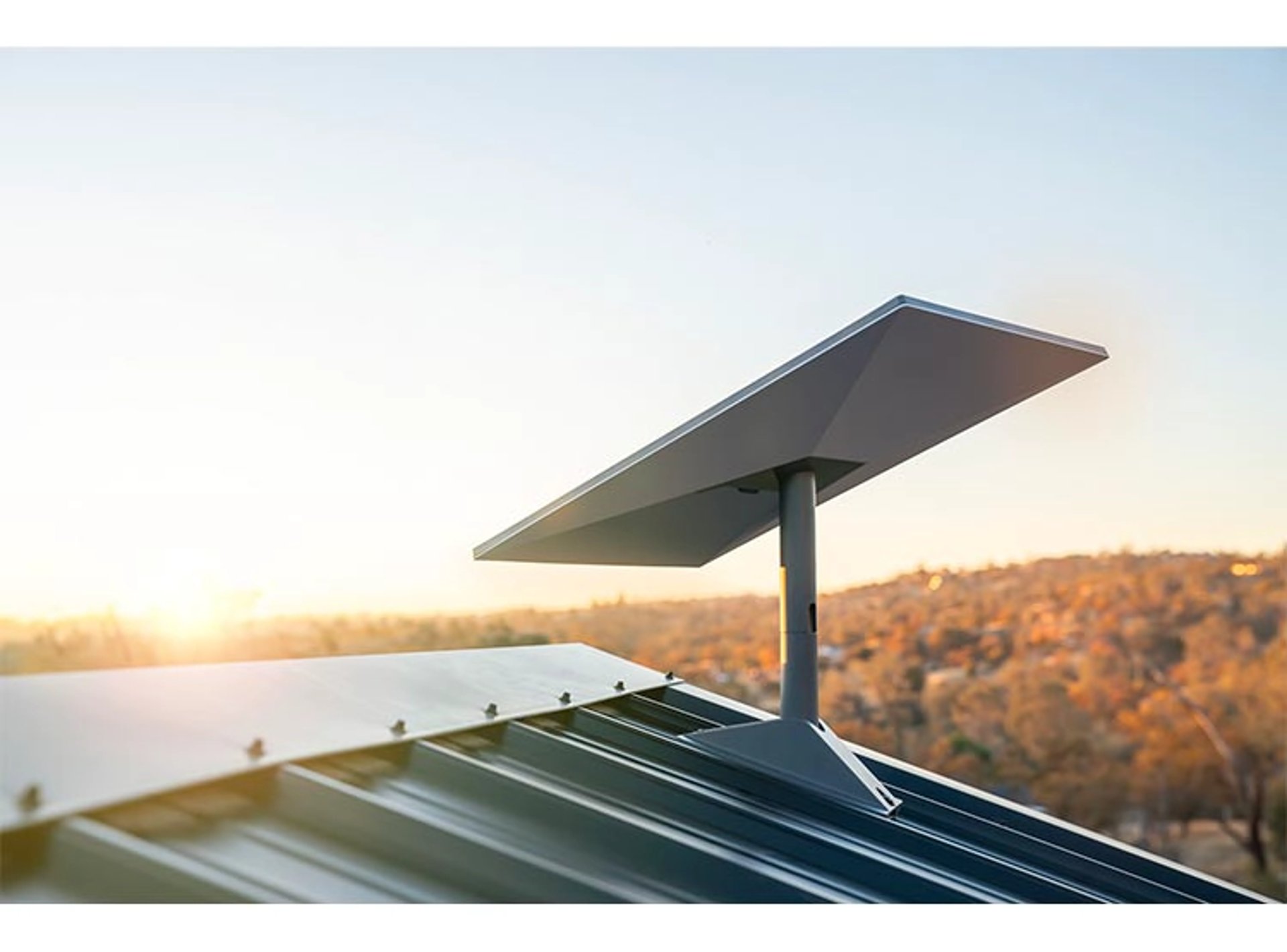 woman holding dried flower