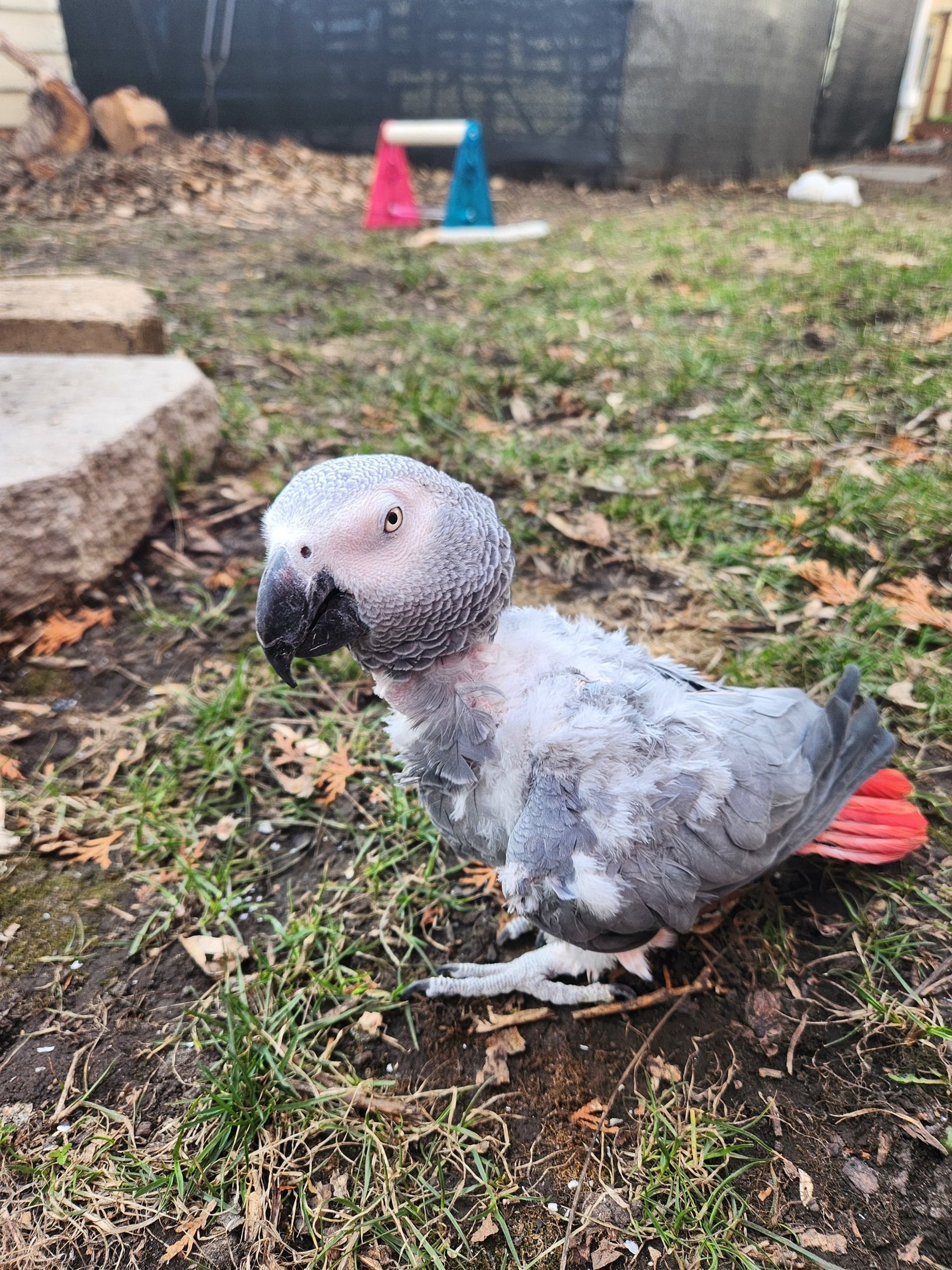 woman holding dried flower