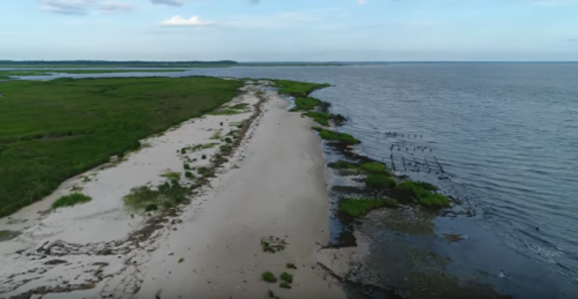 South Jersey Coastal Fly Anglers