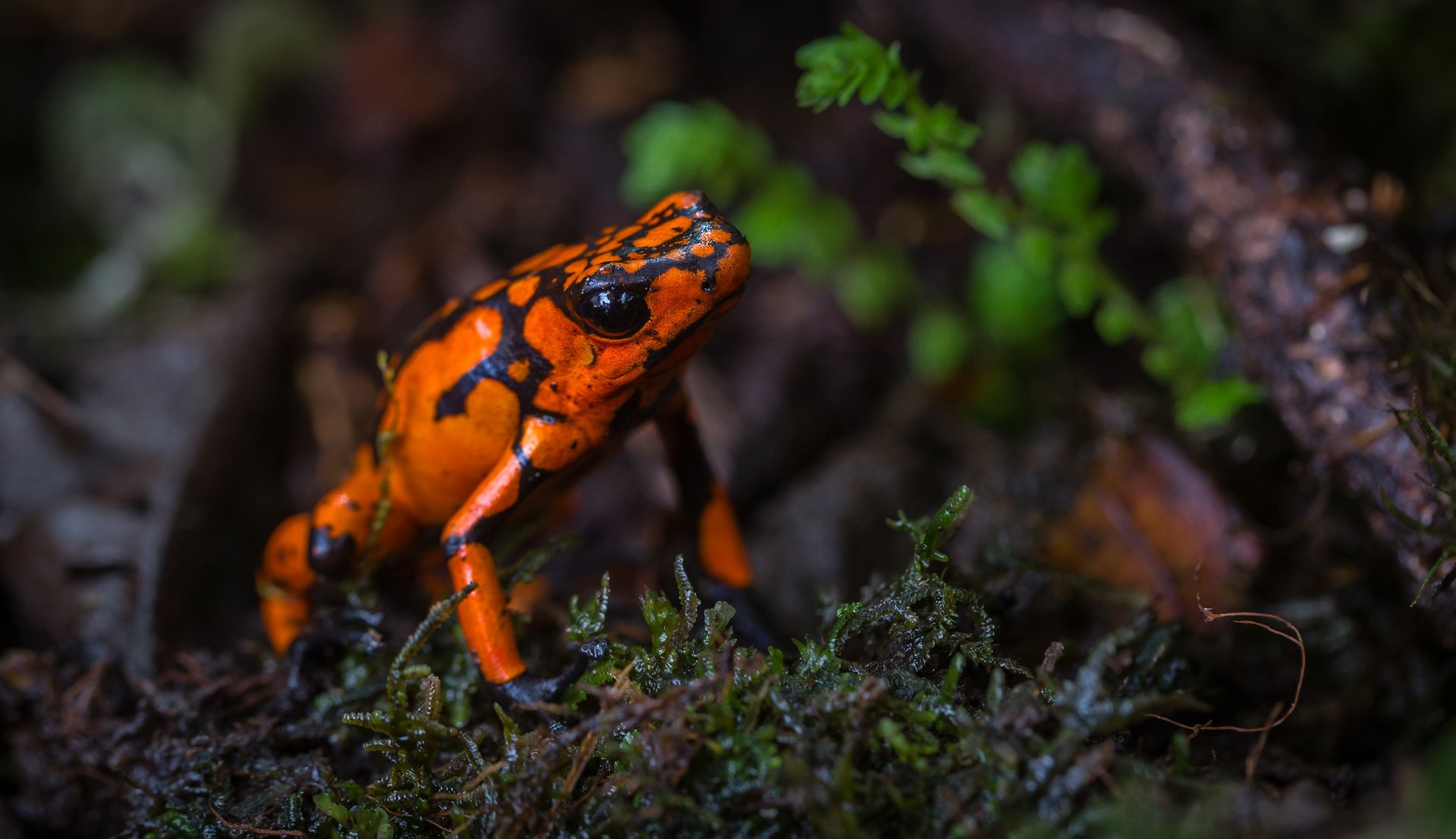 black blue and yellow textile