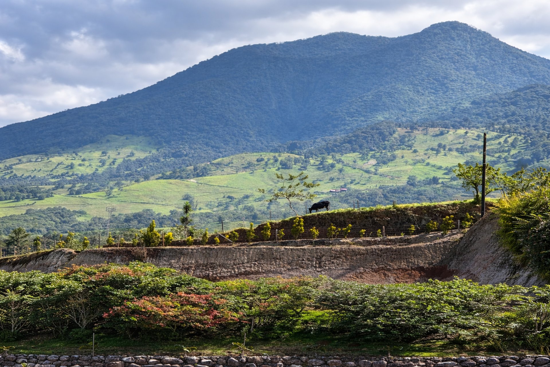 woman wearing yellow long-sleeved dress under white clouds and blue sky during daytime