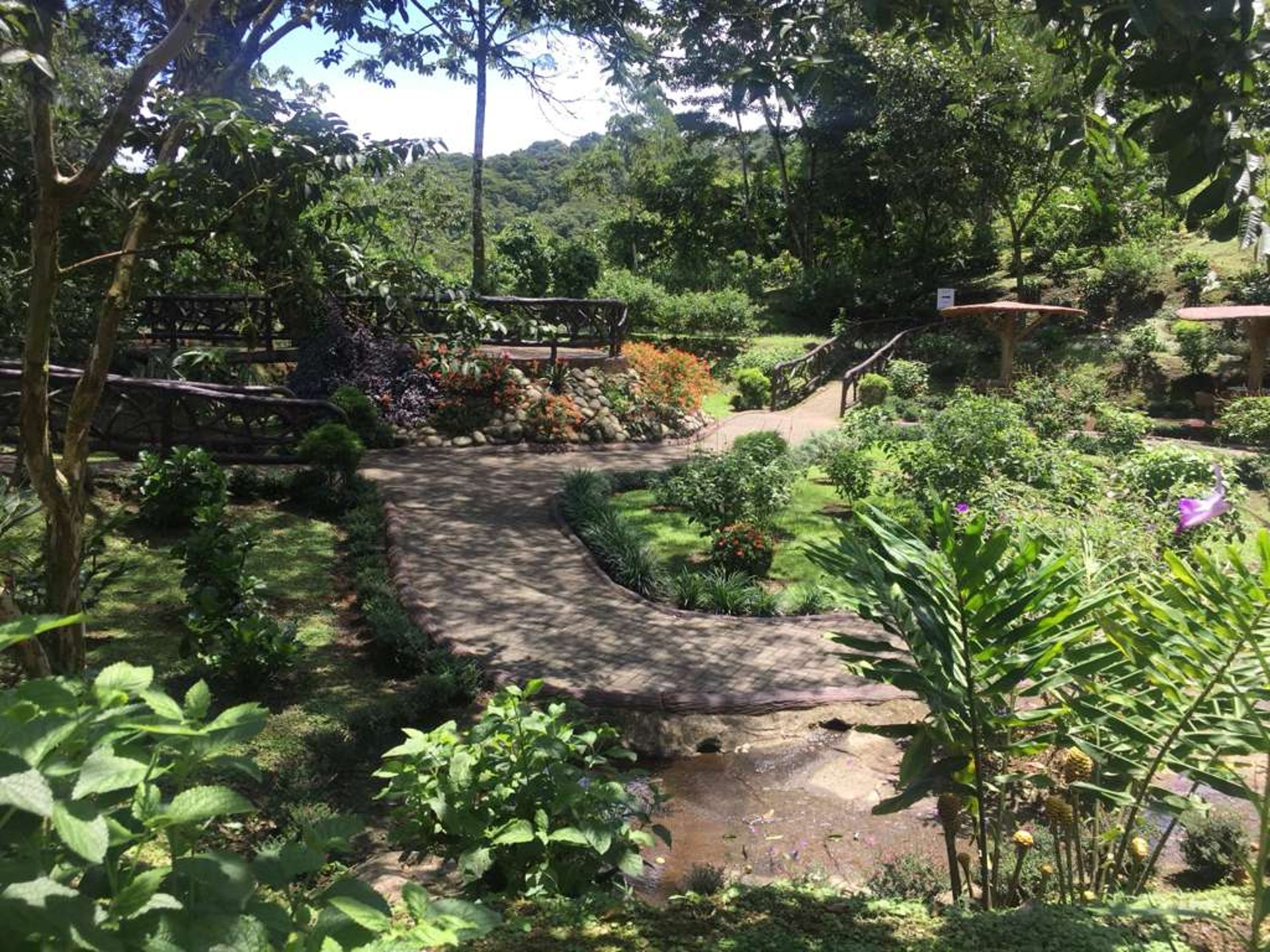 woman wearing yellow long-sleeved dress under white clouds and blue sky during daytime