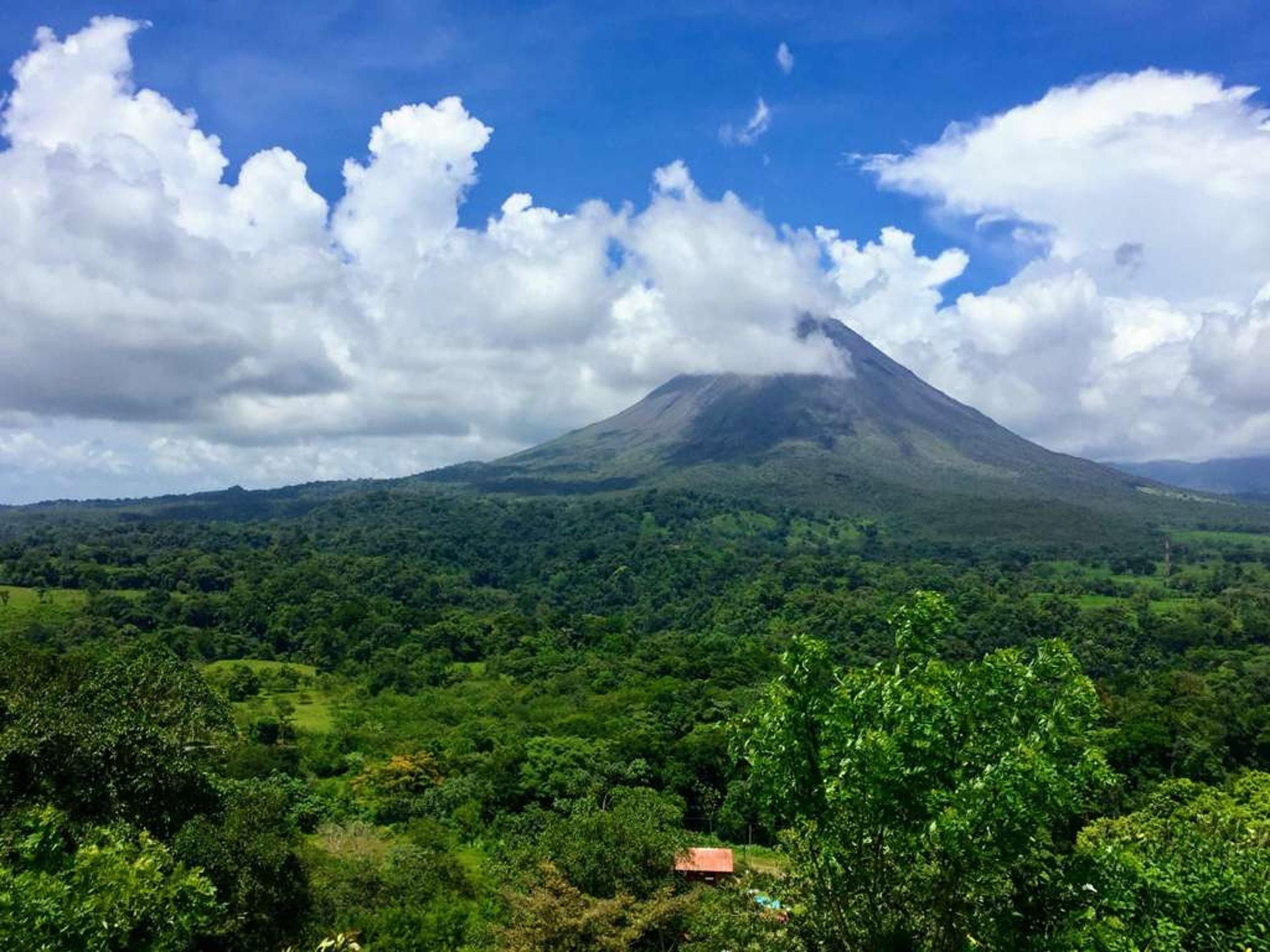 an abstract photo of a curved building with a blue sky in the background