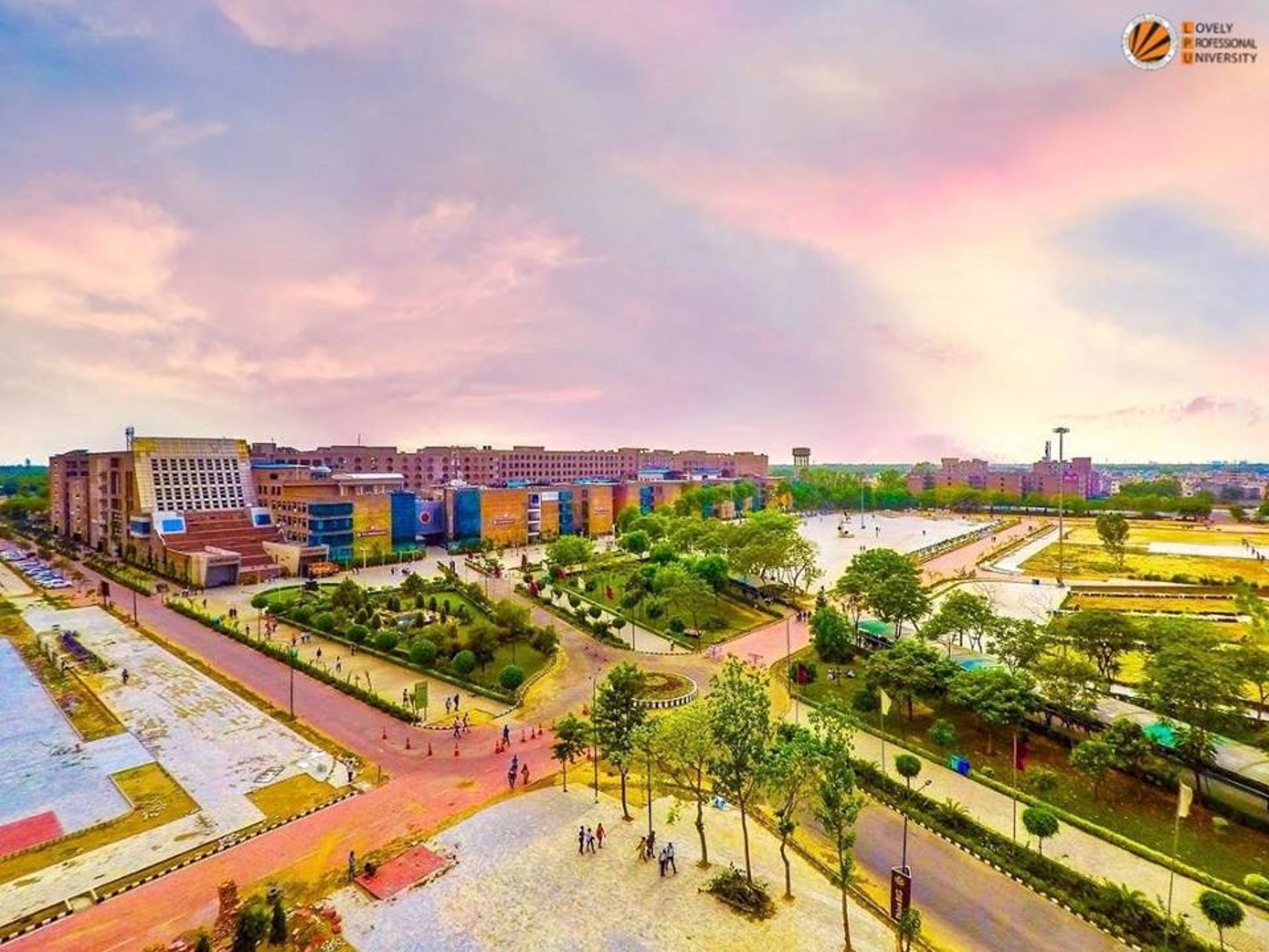 a man holding a flag
