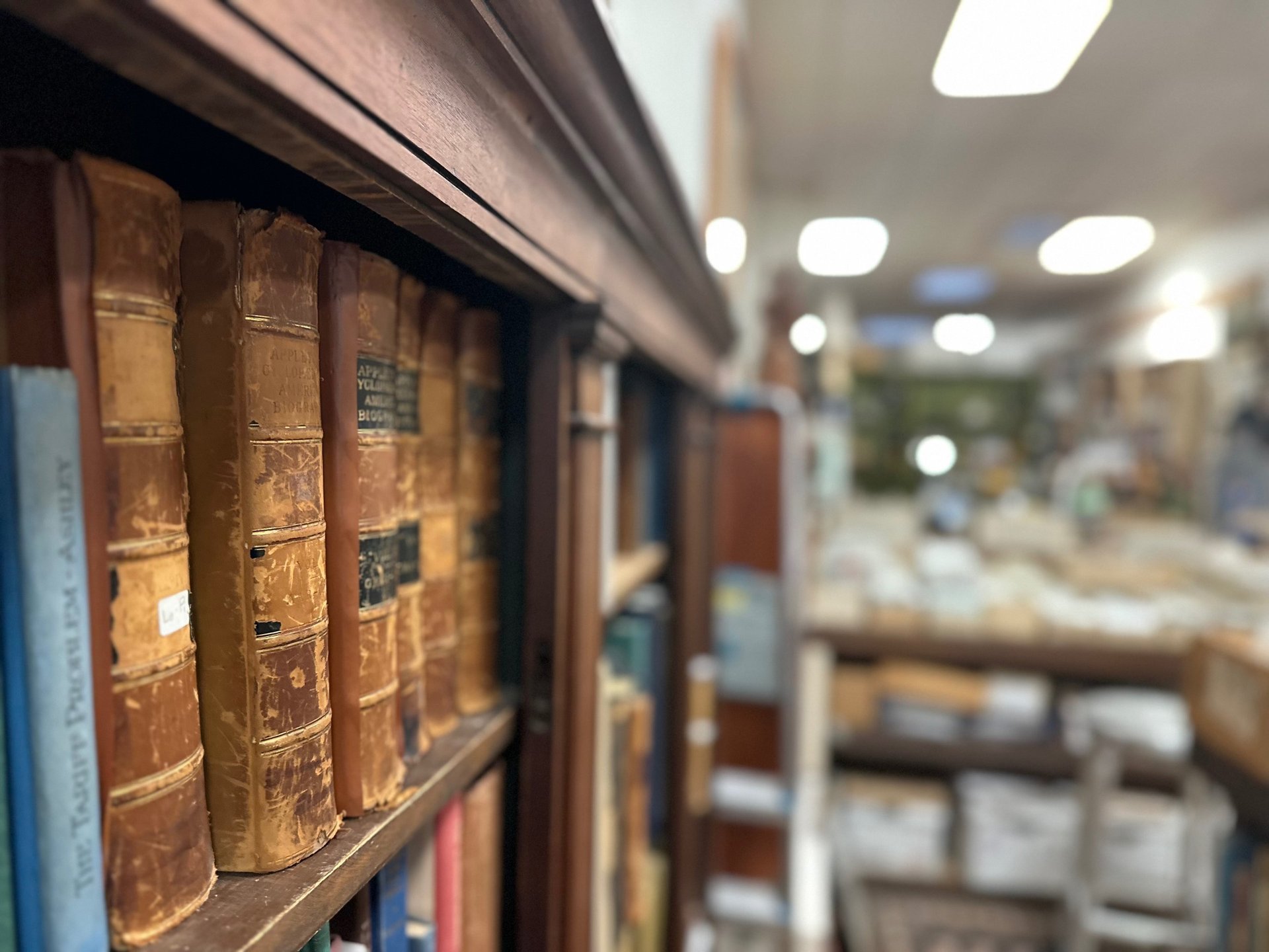 gray computer monitor