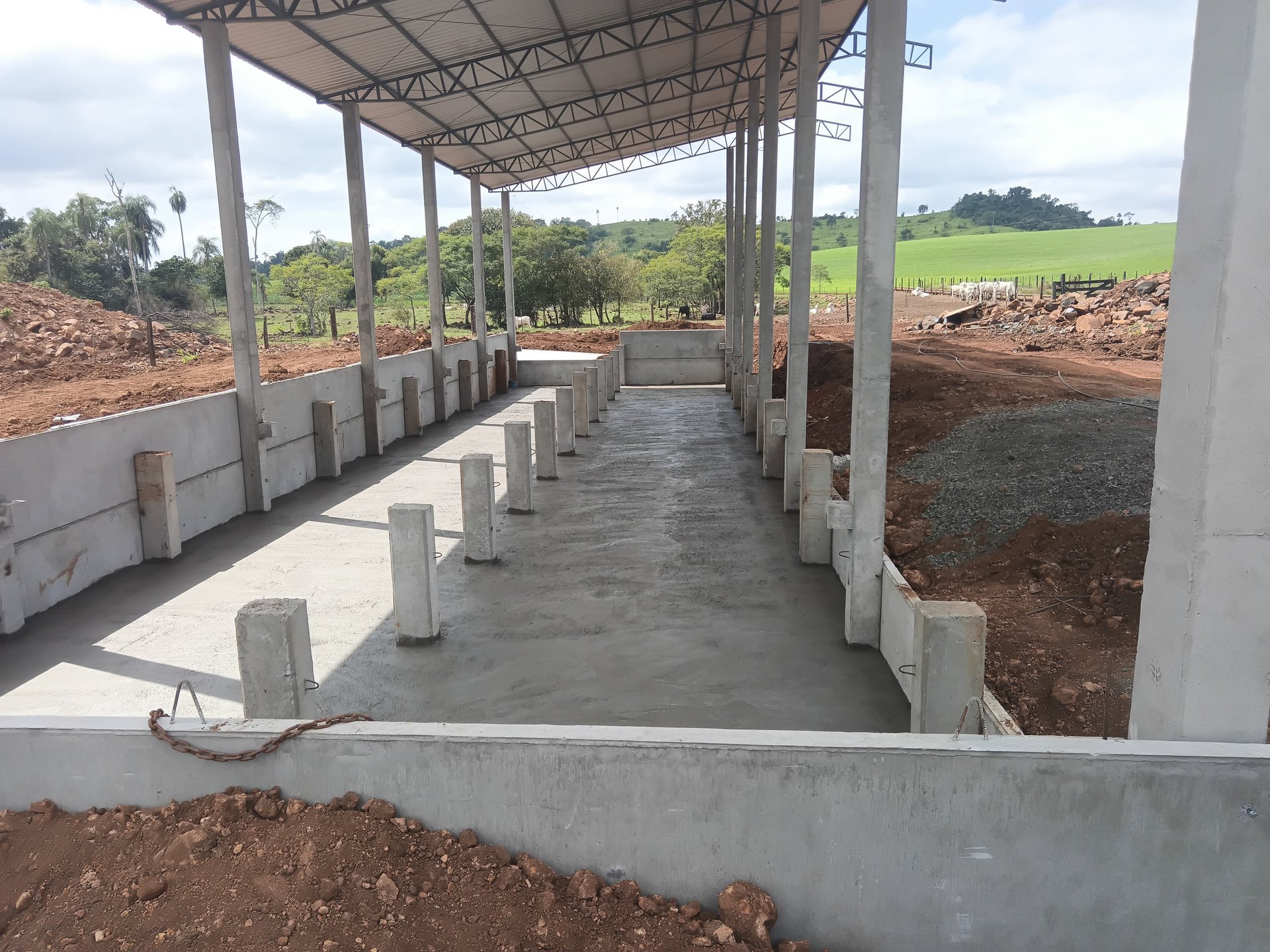 woman wearing yellow long-sleeved dress under white clouds and blue sky during daytime