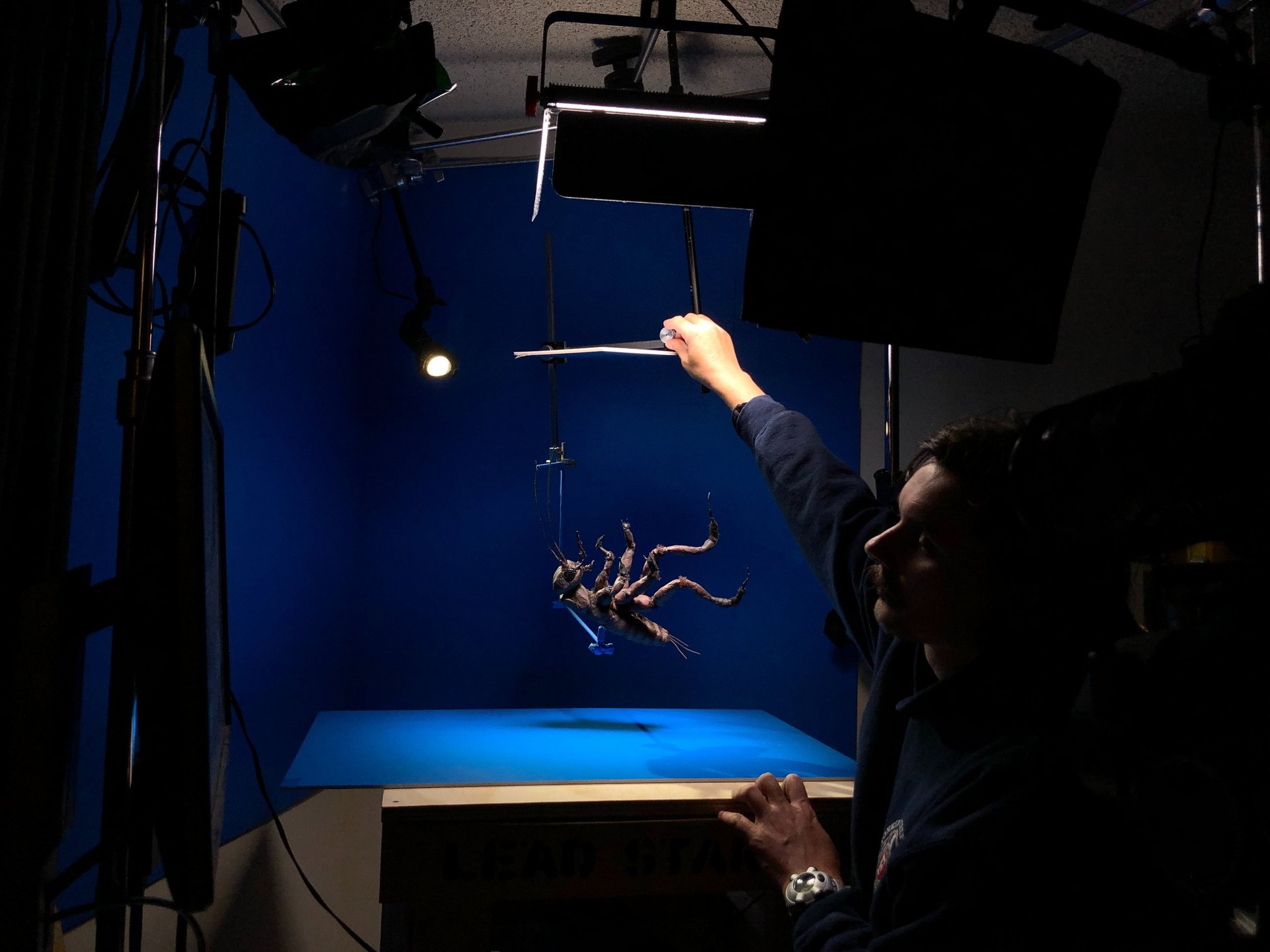 an abstract photo of a curved building with a blue sky in the background
