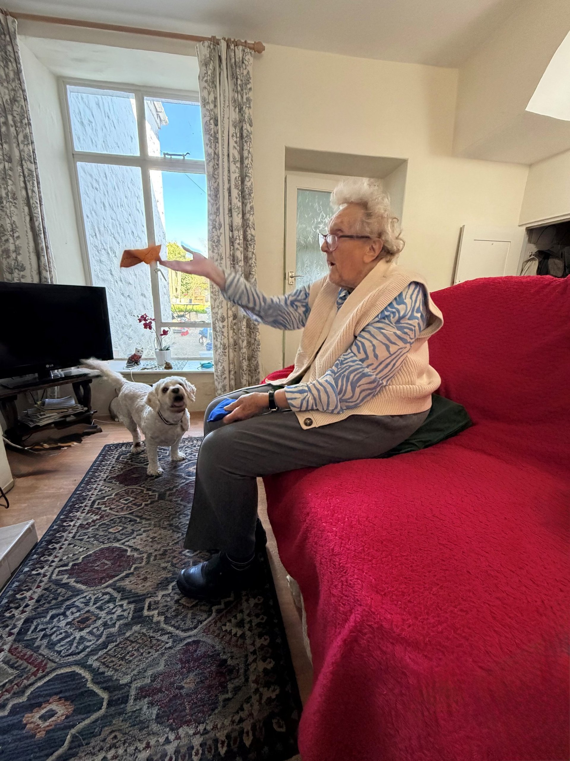 A walker and chair by a large window.