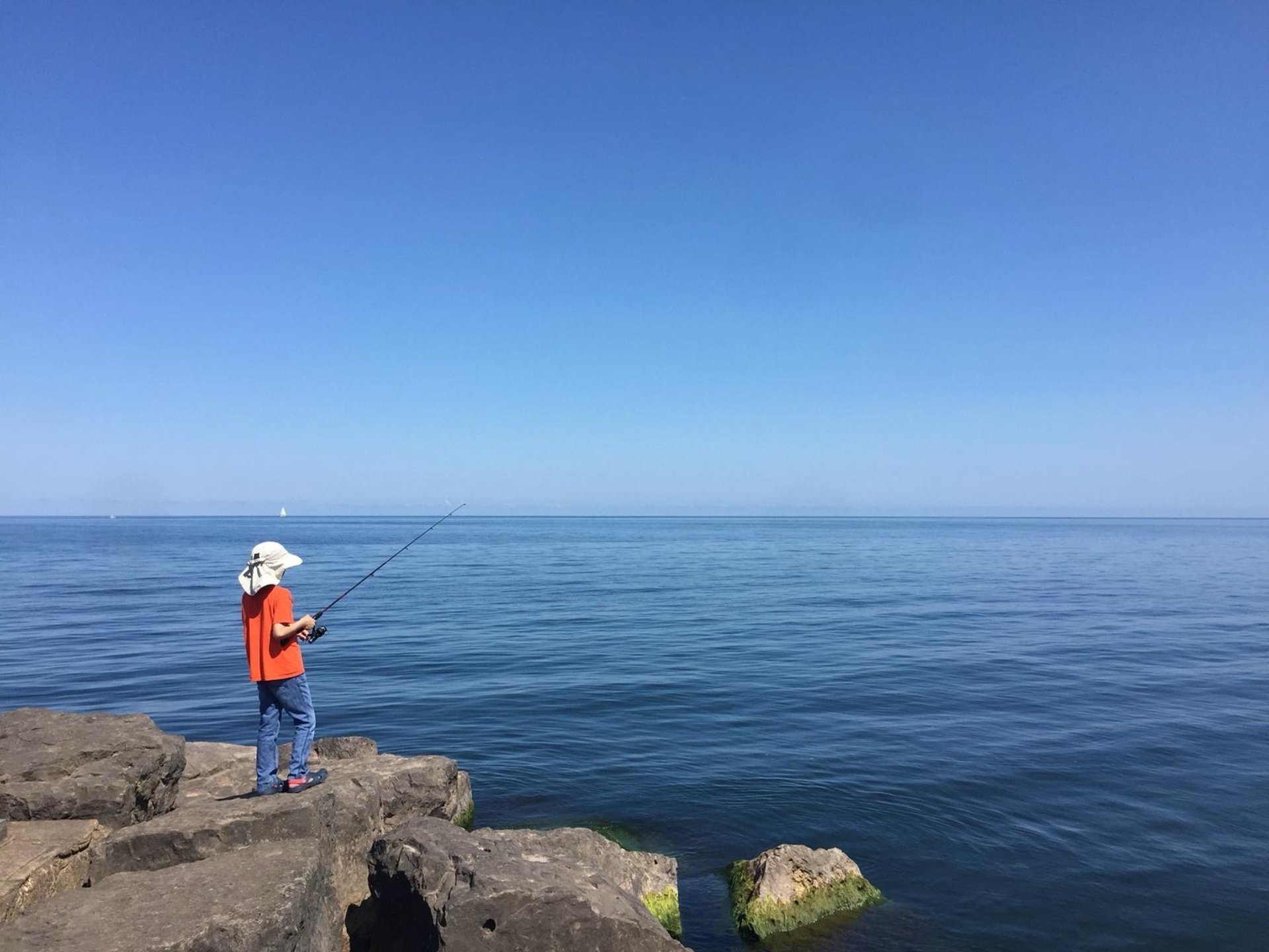 black and white bed linen
