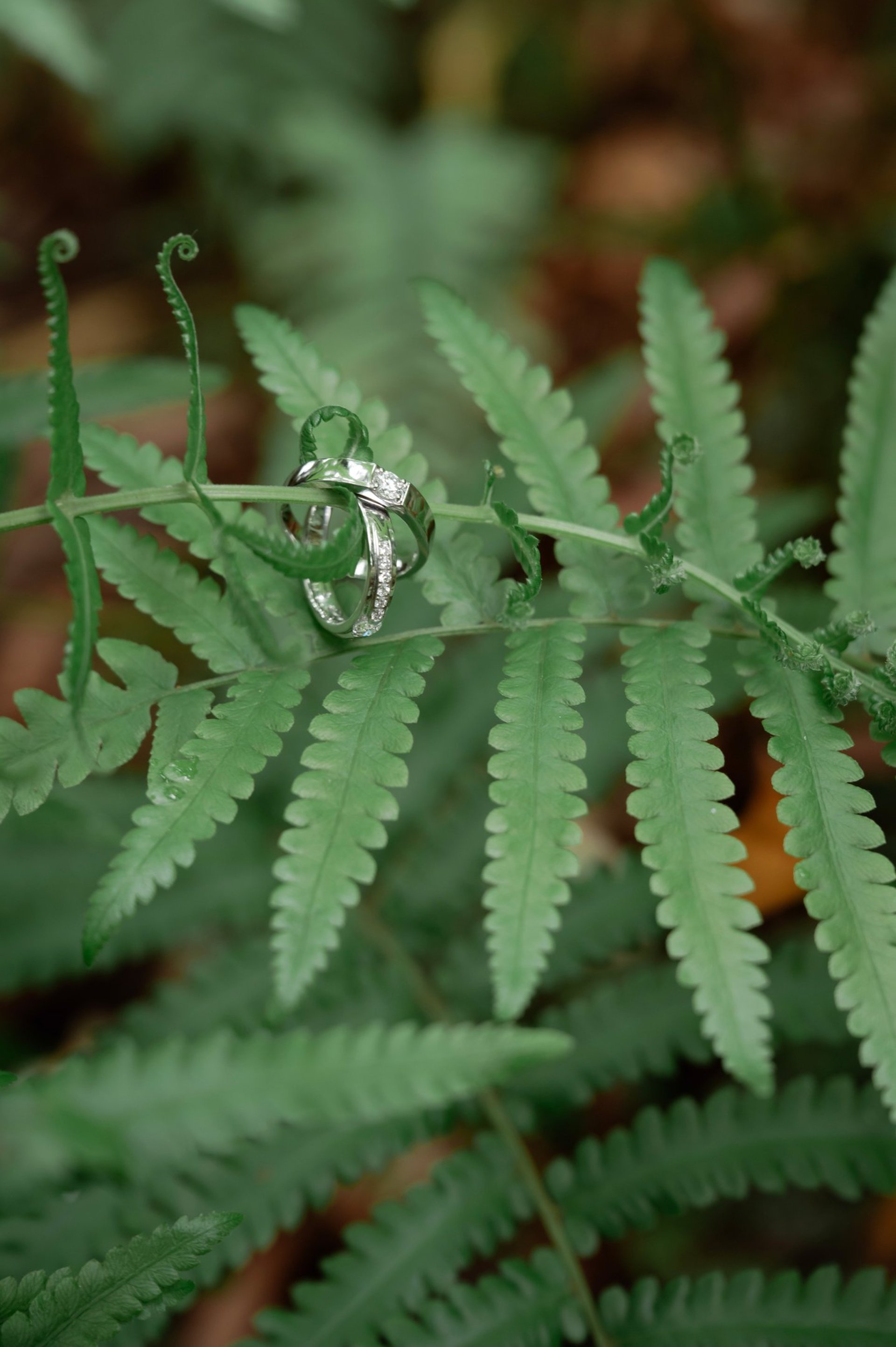 an abstract photo of a curved building with a blue sky in the background