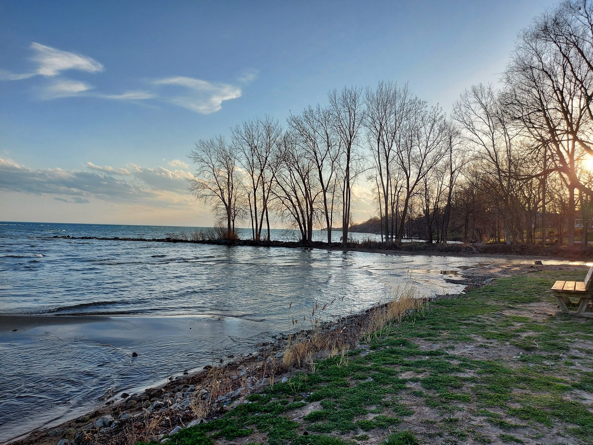 black and brown leather padded tub sofa
