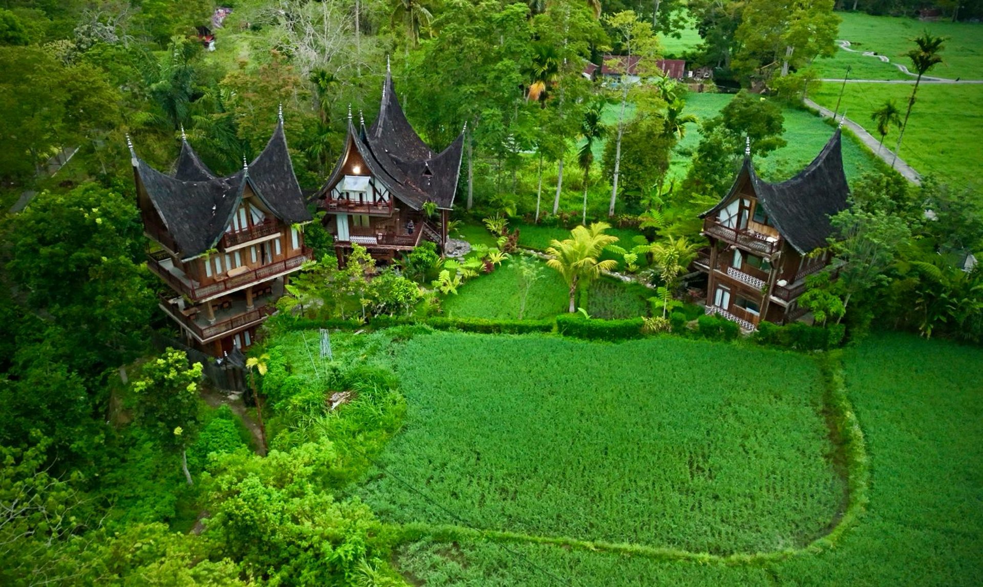 black blue and yellow textile