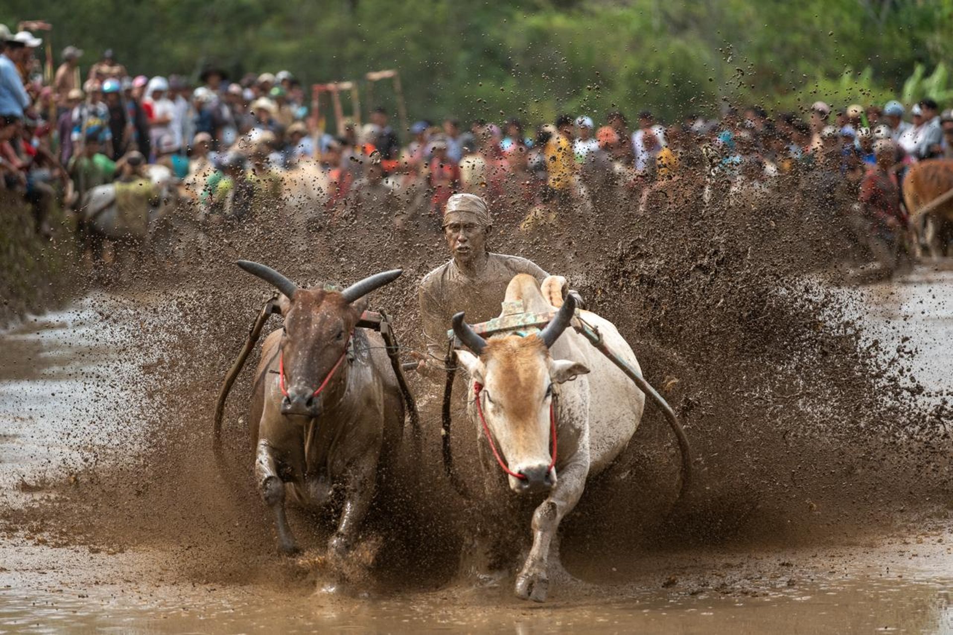black blue and yellow textile